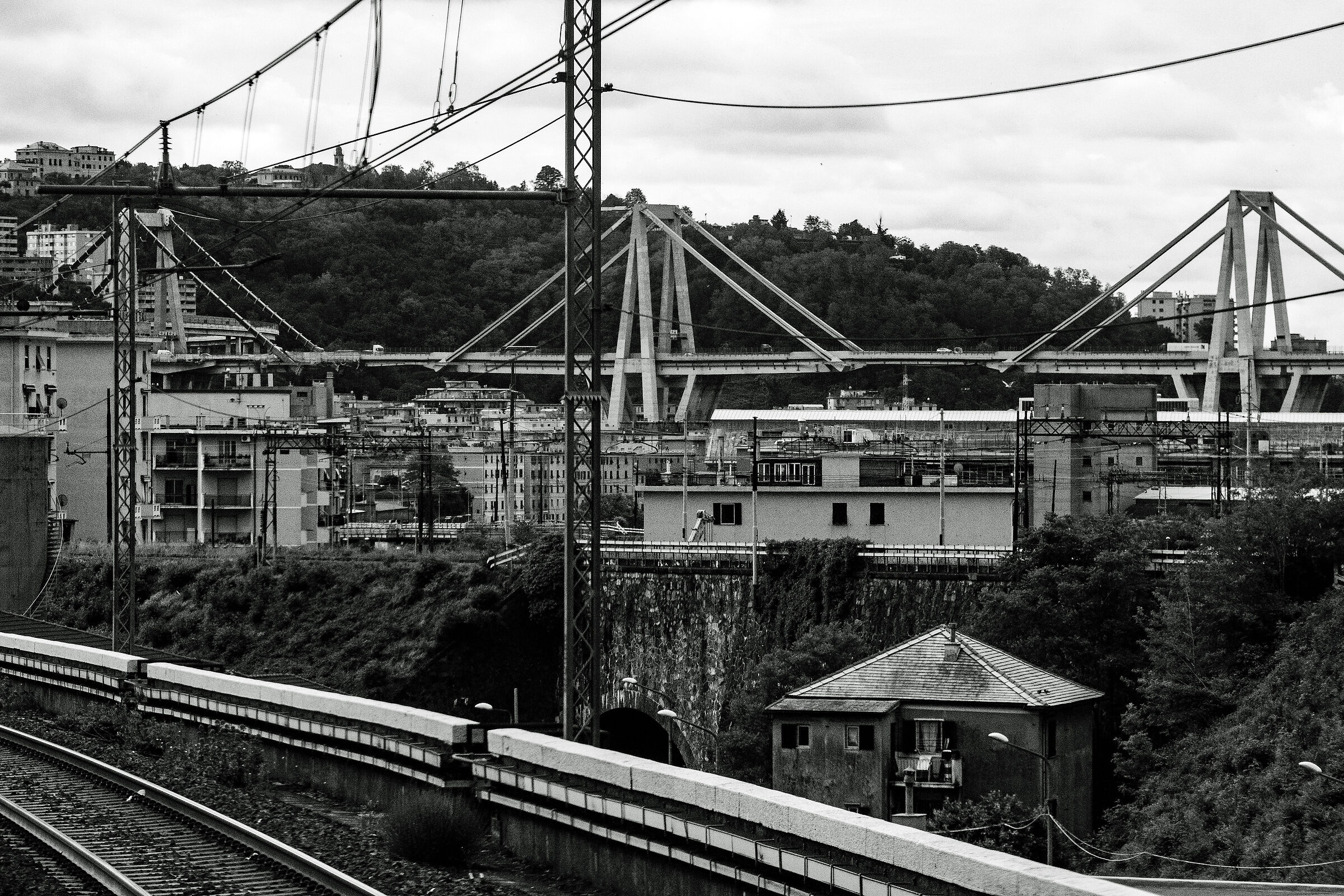 Morandi Bridge