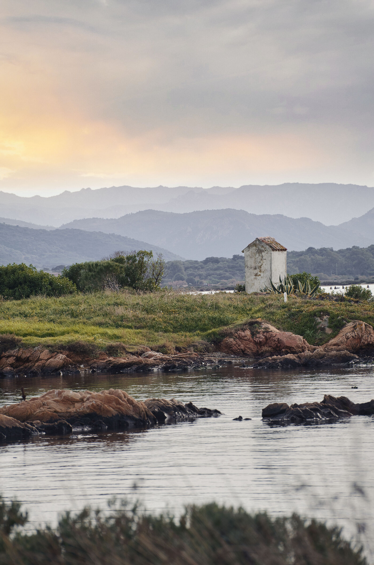 La mia casa è piccola ma le sue finestre si aprono su...