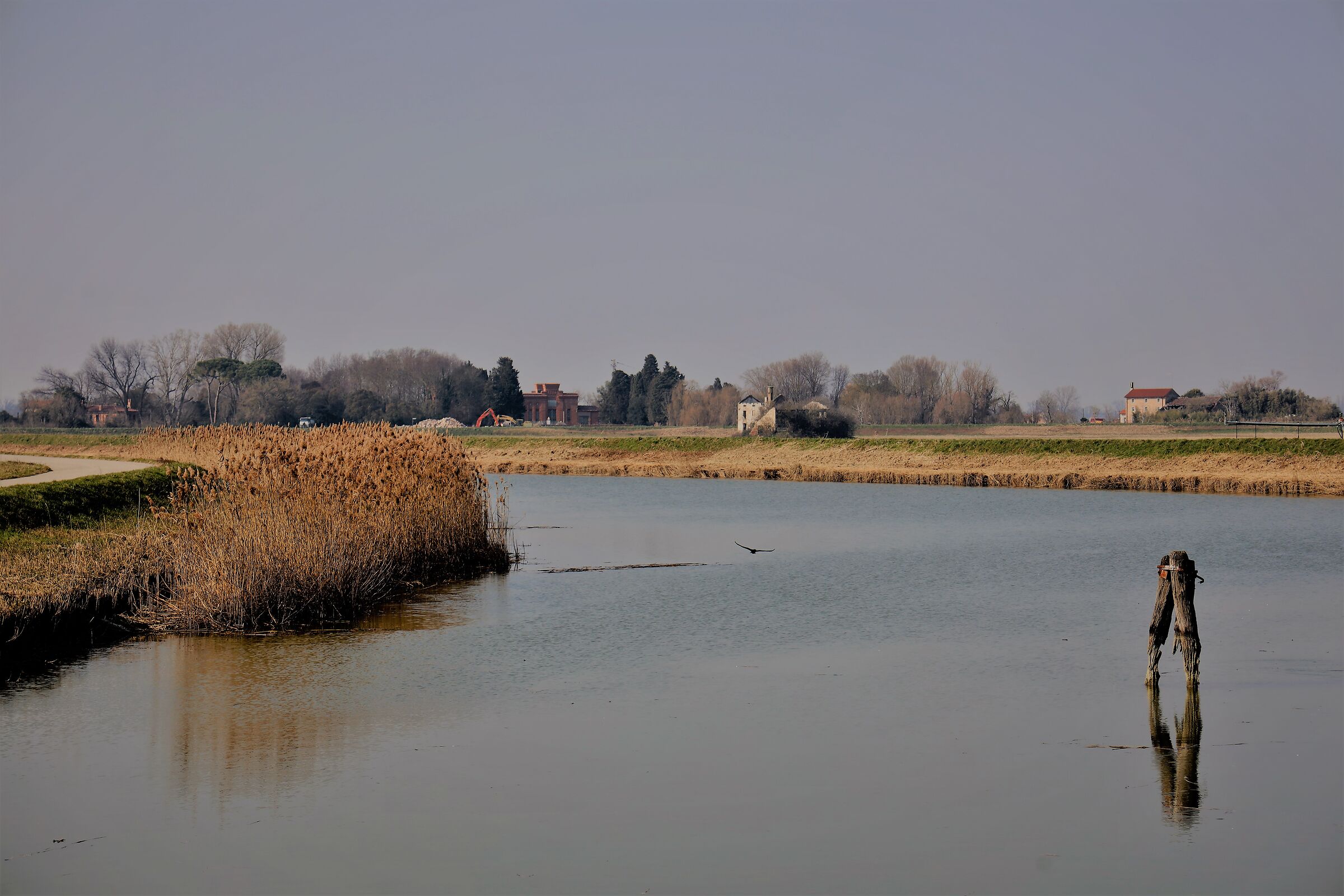 landscape, landscape