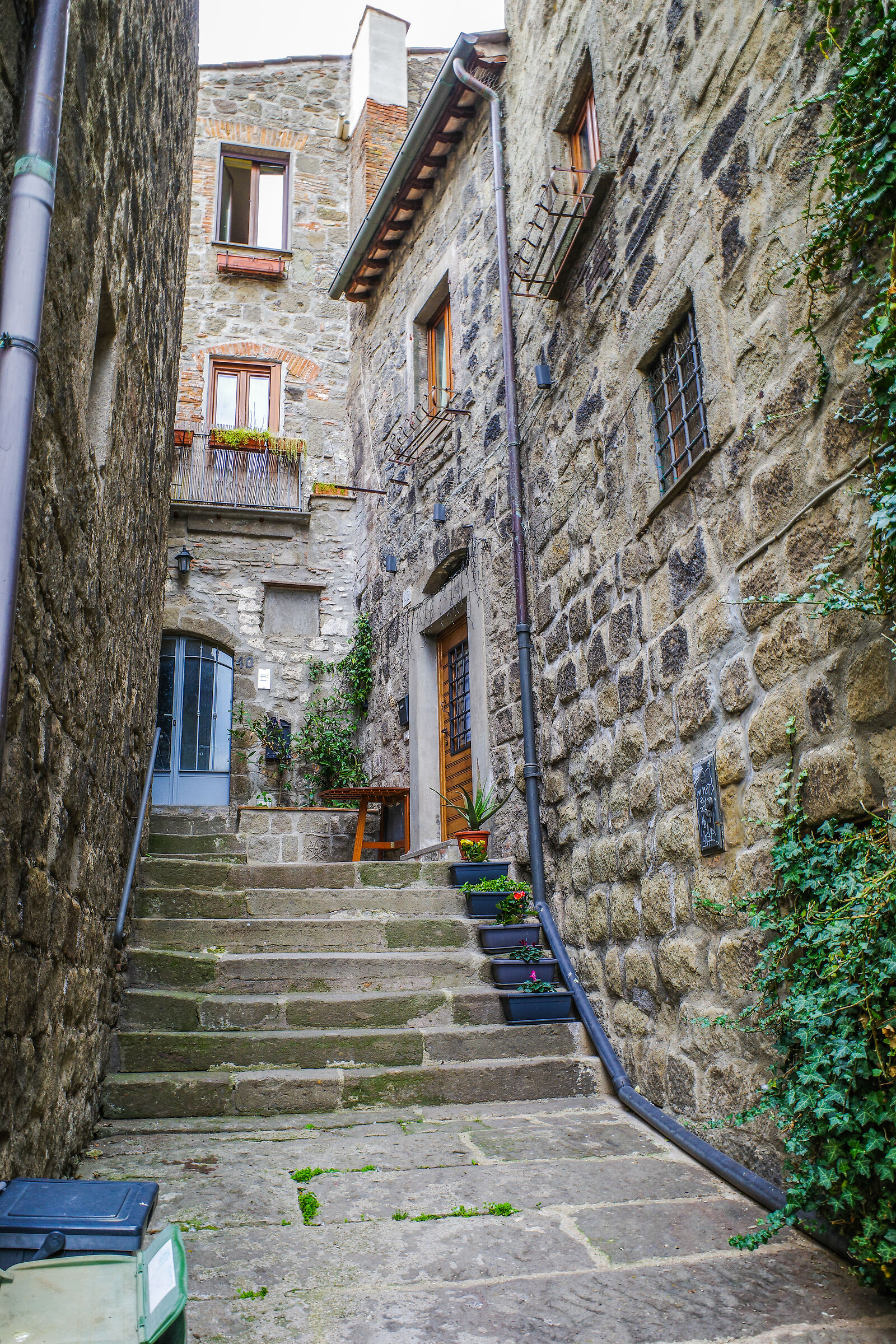 Viterbo