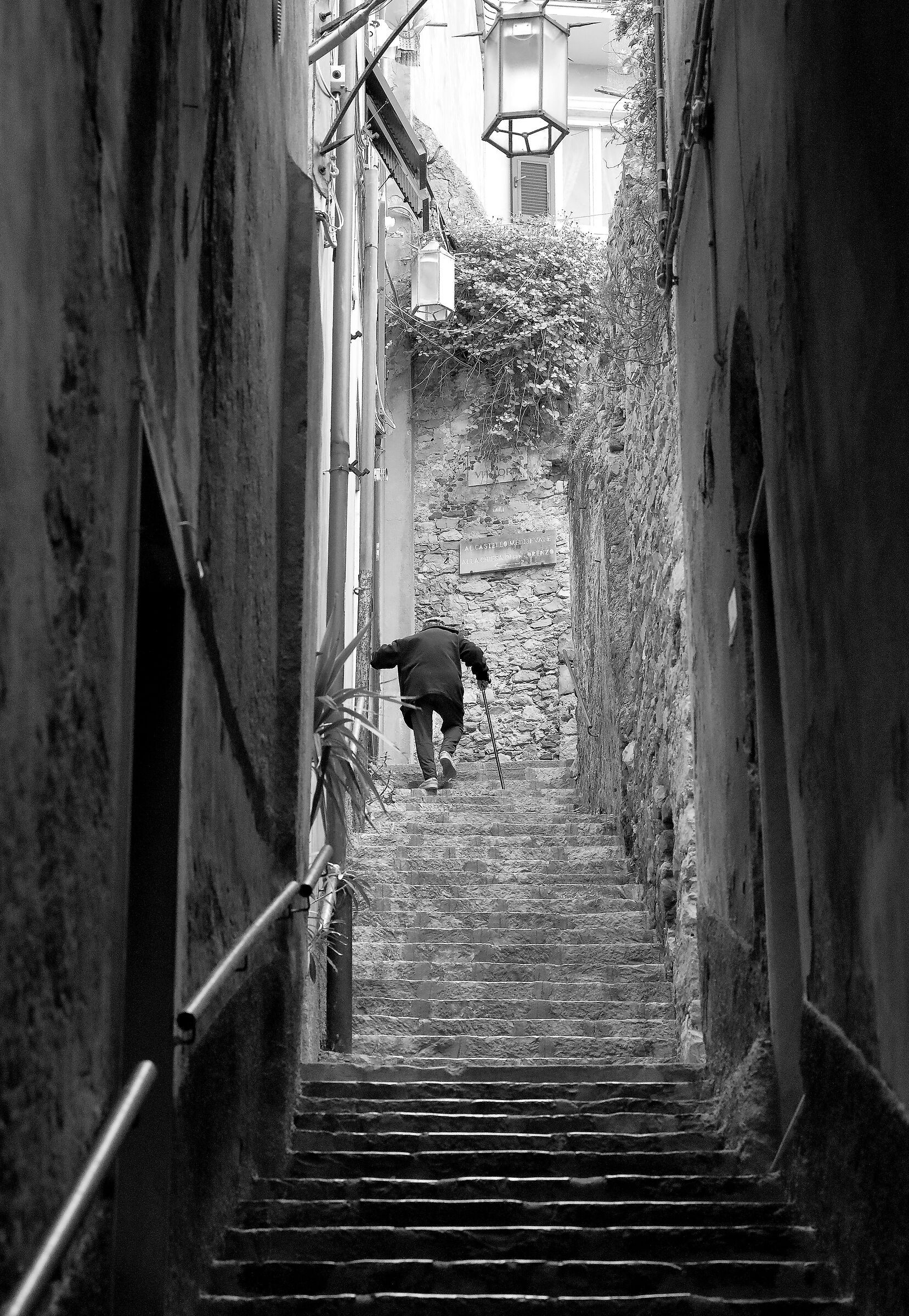 at the top of the ladder..... or life