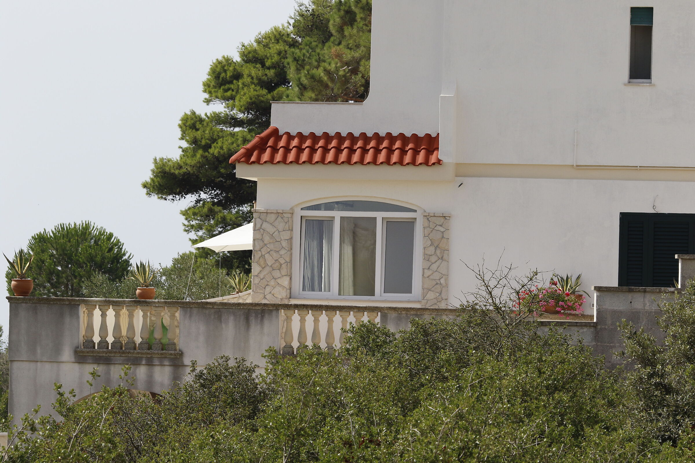 Canon 7D II- 135 F.2 L USM