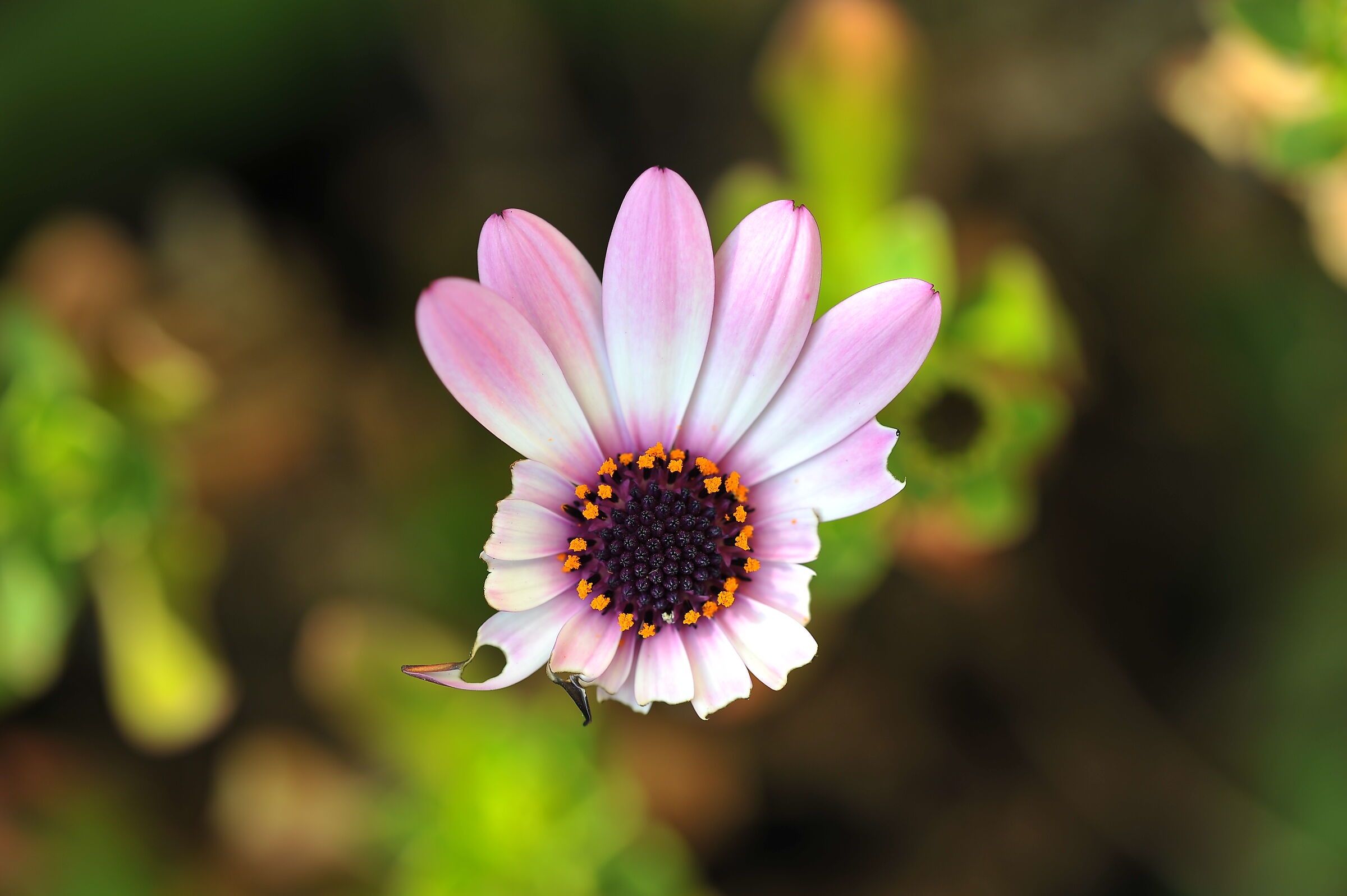 The beauty of imperfection