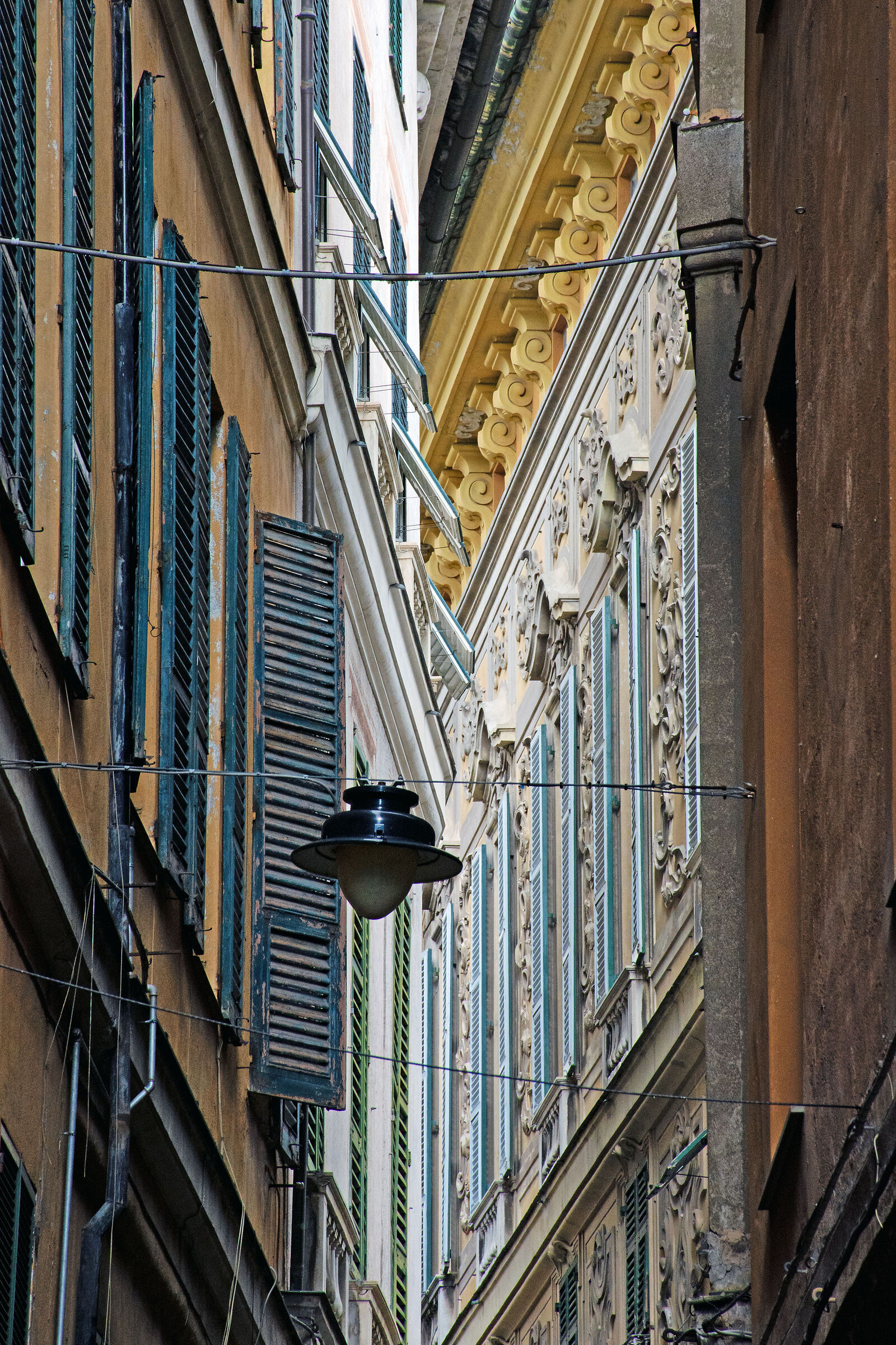 Wedge... in Genoa