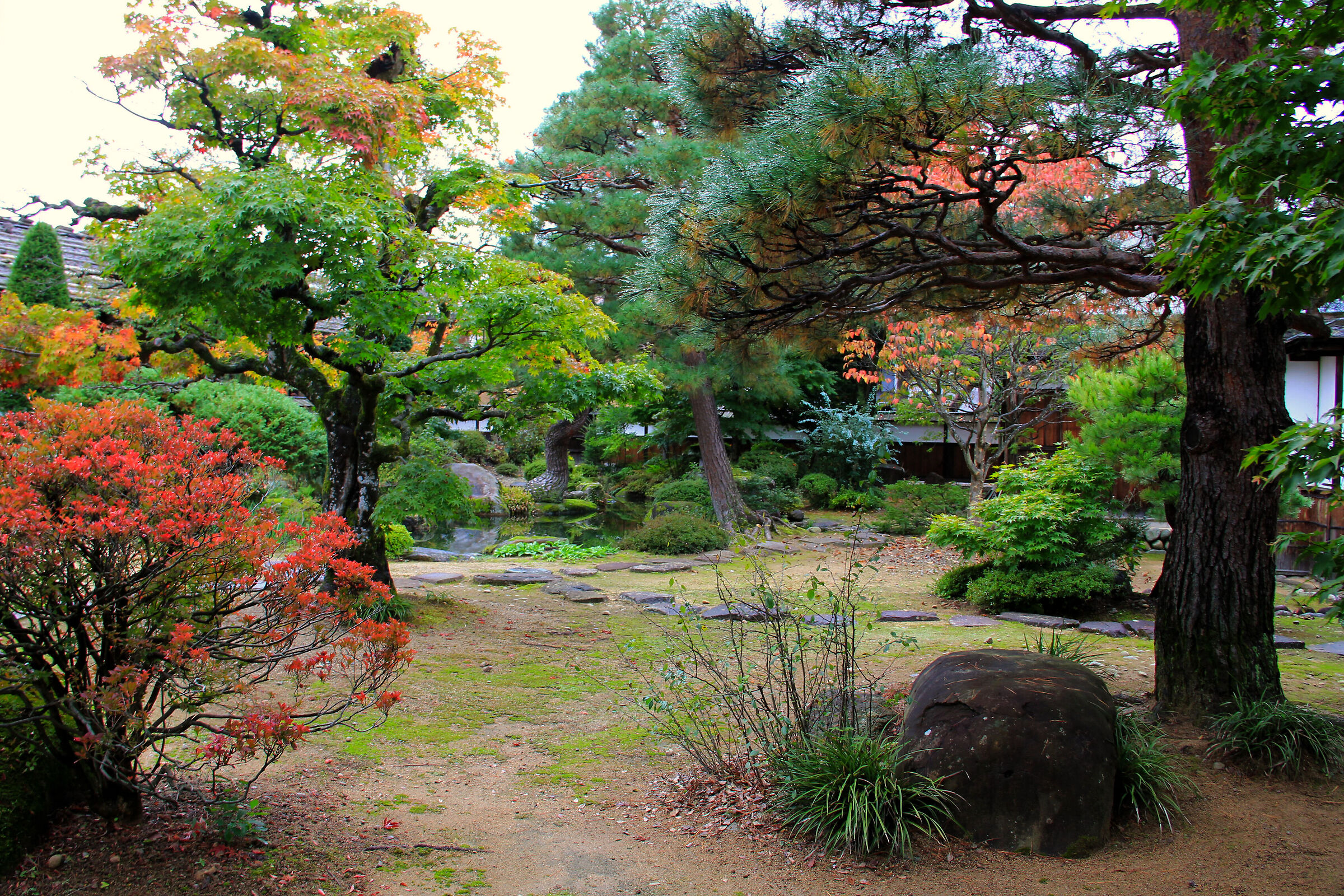 garden of the "governor's house"