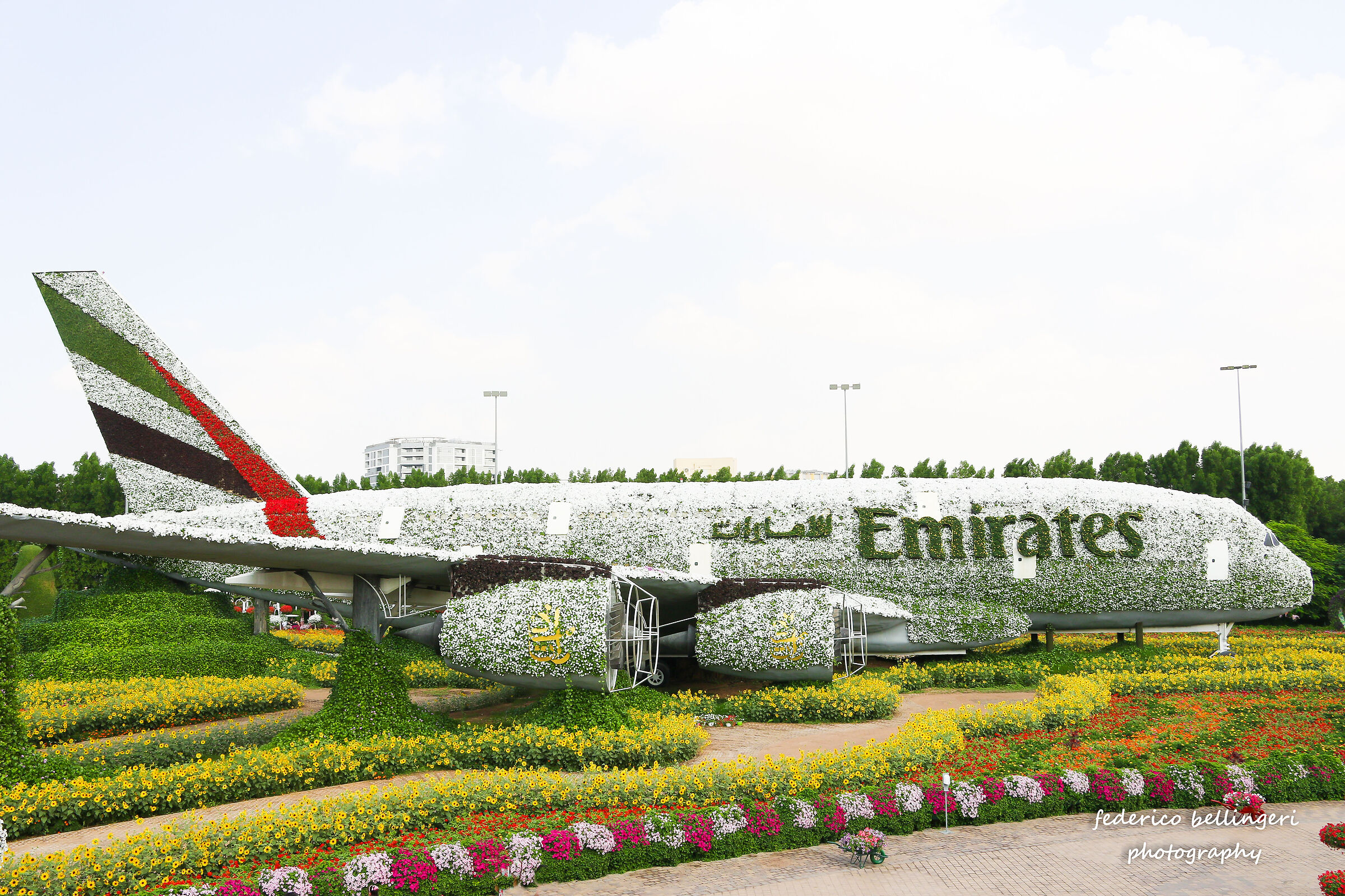 emirates - miracle garden