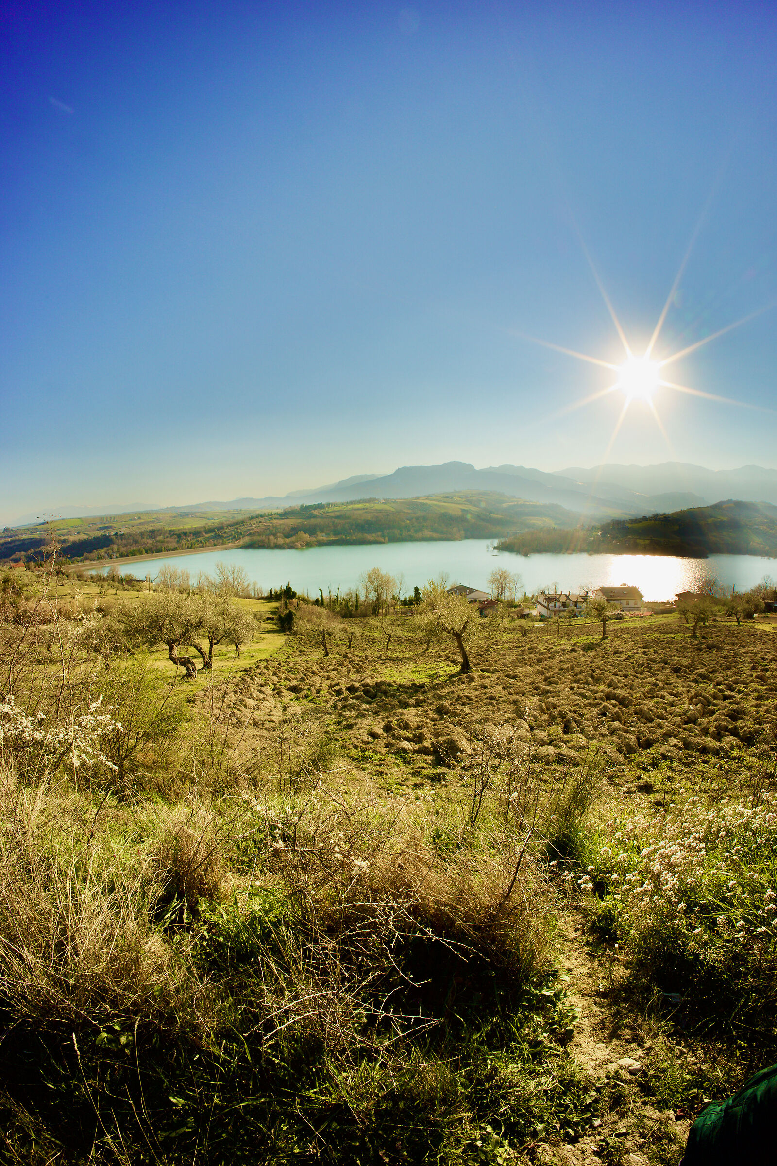 Orizzonti Lontani & Sogni Vicini