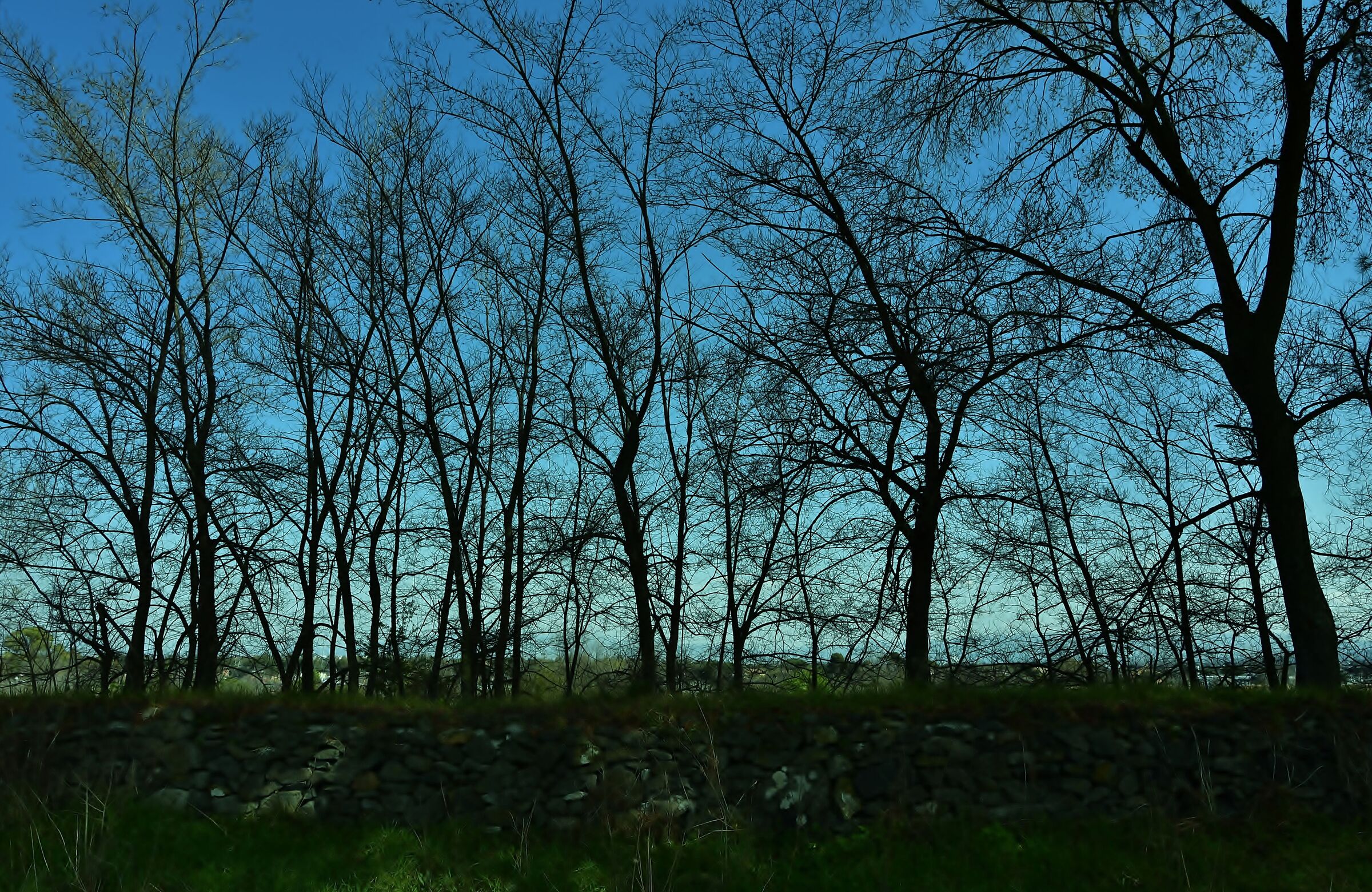 Spring reflections......