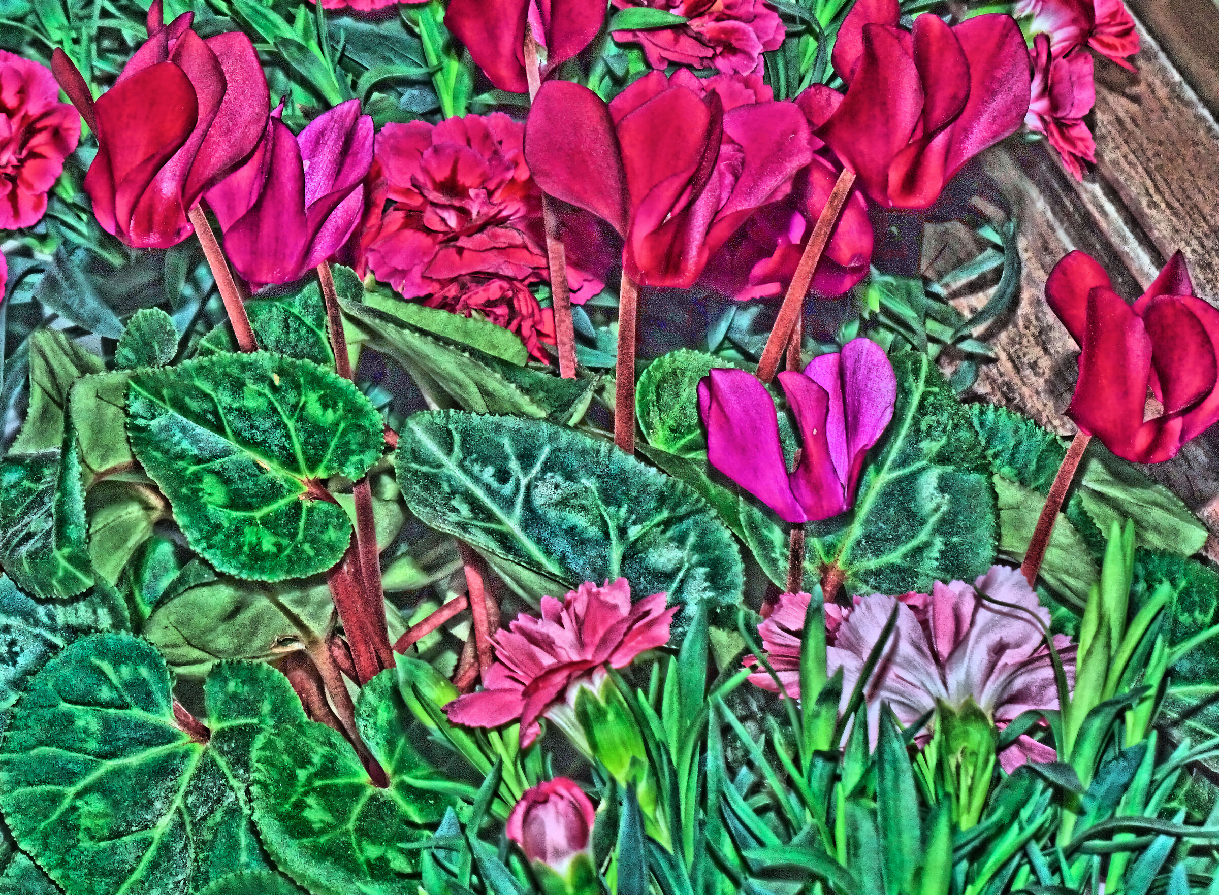 Flowers on the windowsill