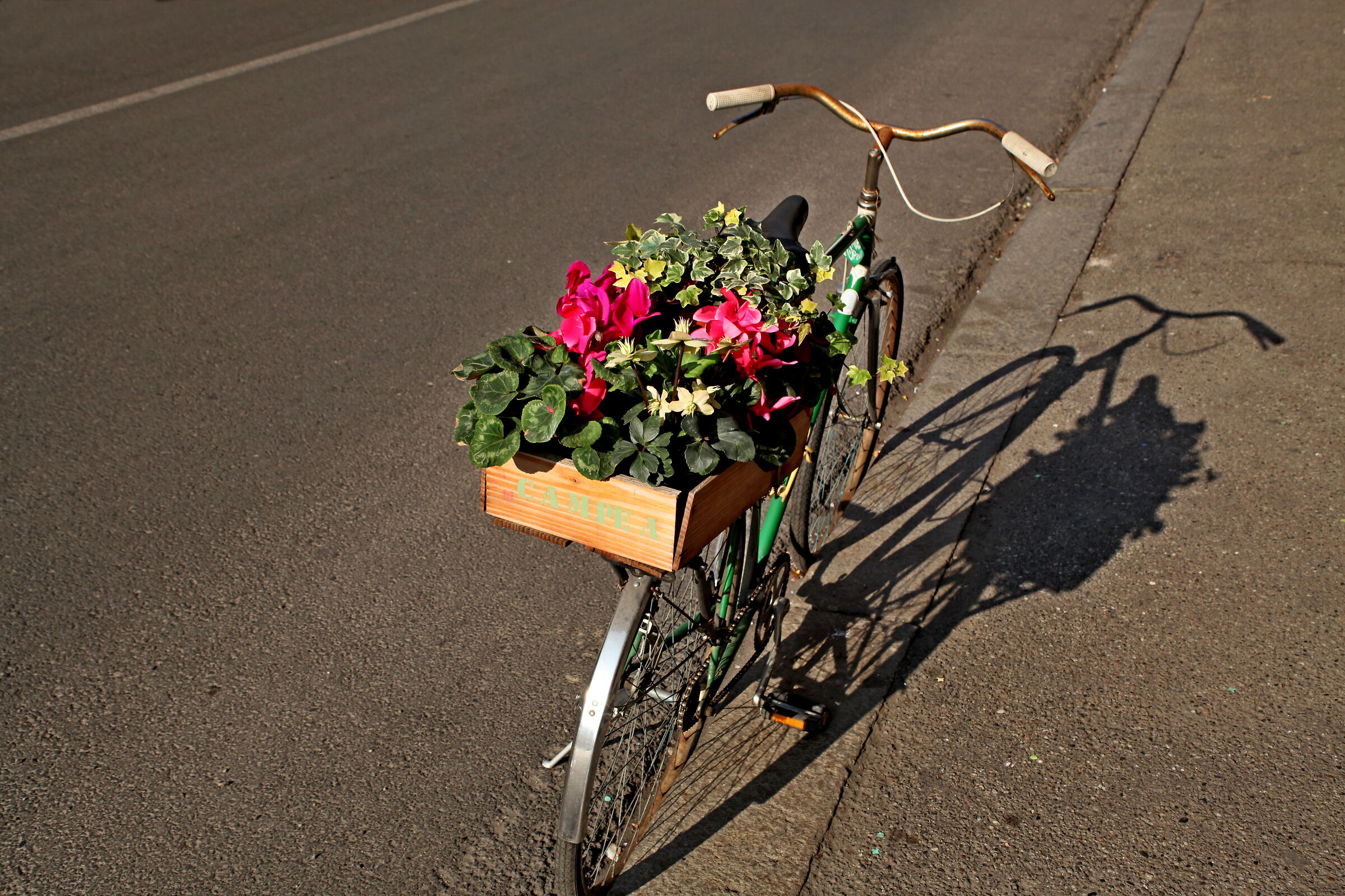 vecchia o nuova mobilità??