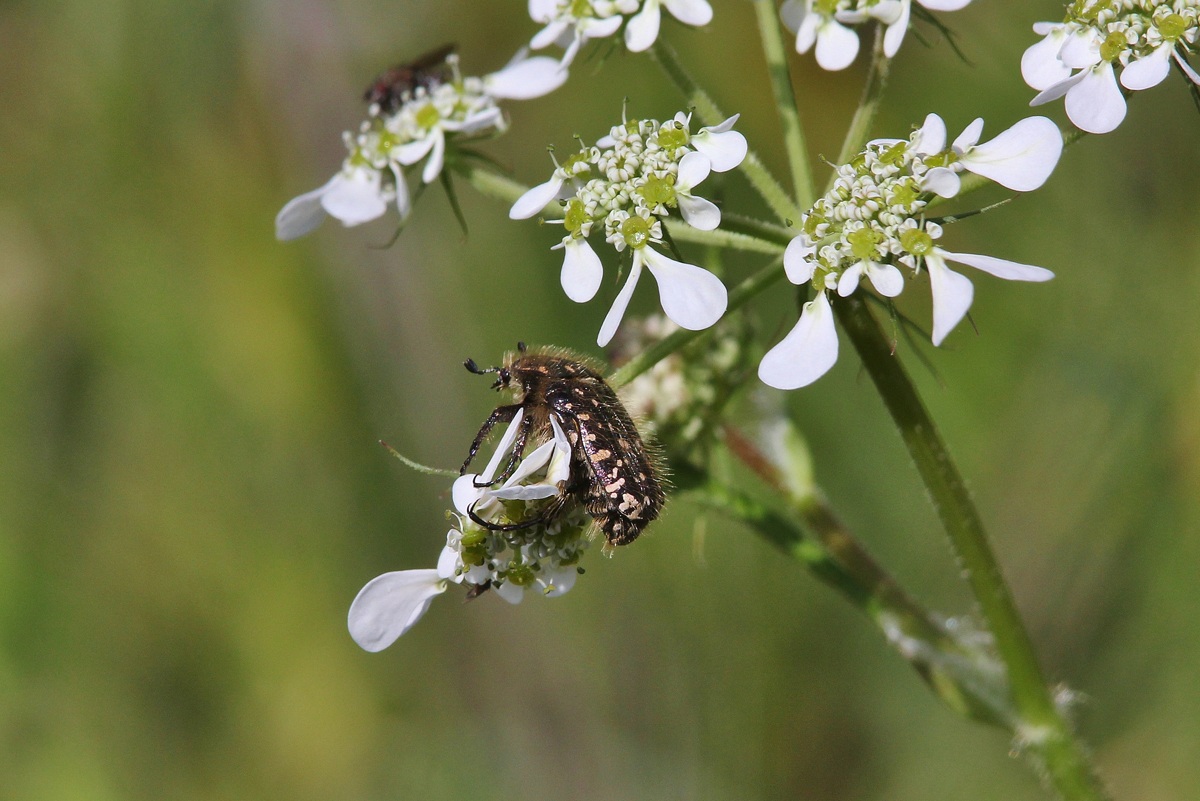 Climbing ... I can do it ;)