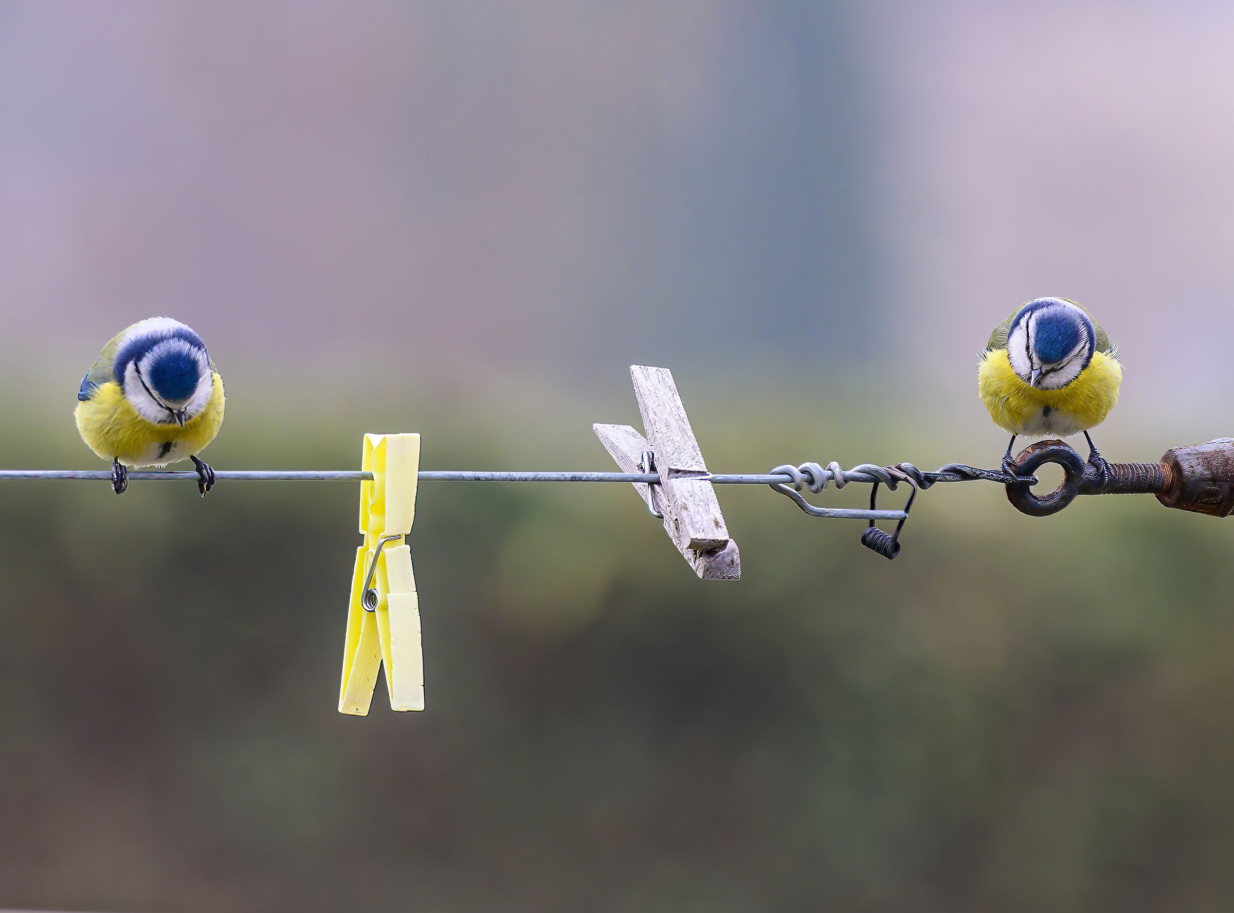 Ueee Gino do you see anything good?