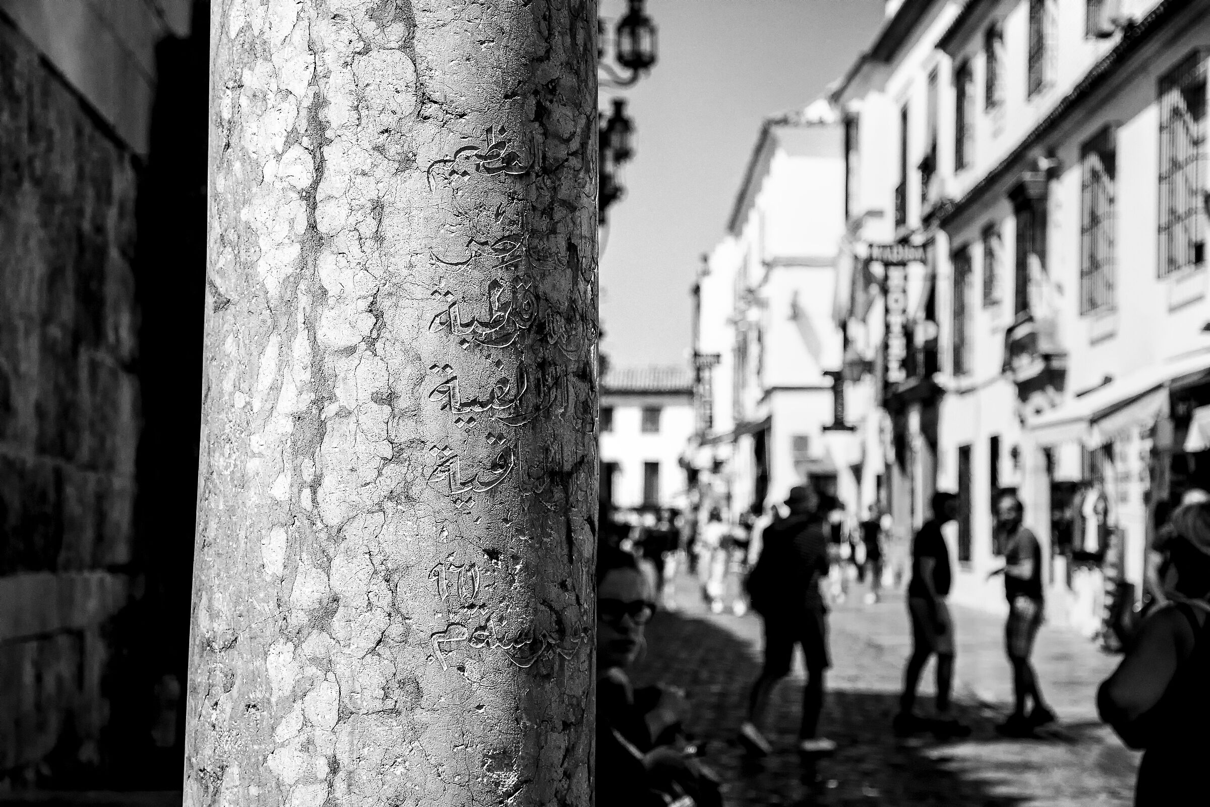Untitled Photo