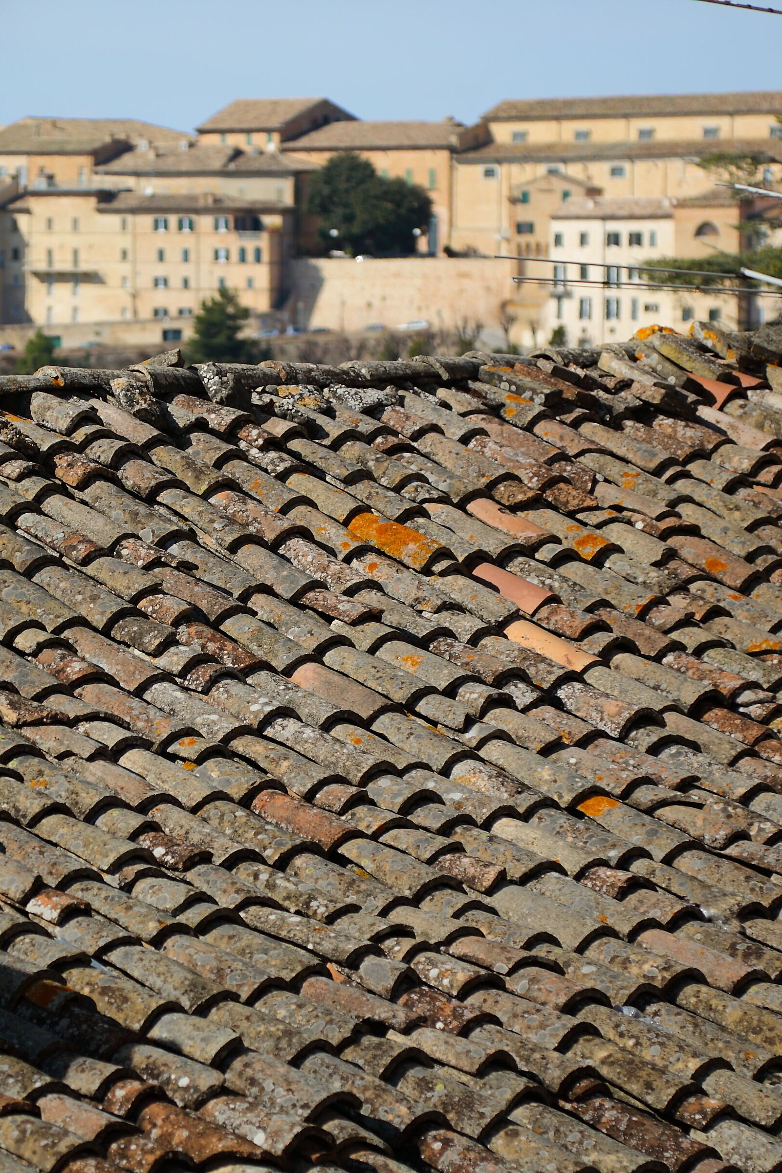 roofs recanatesi