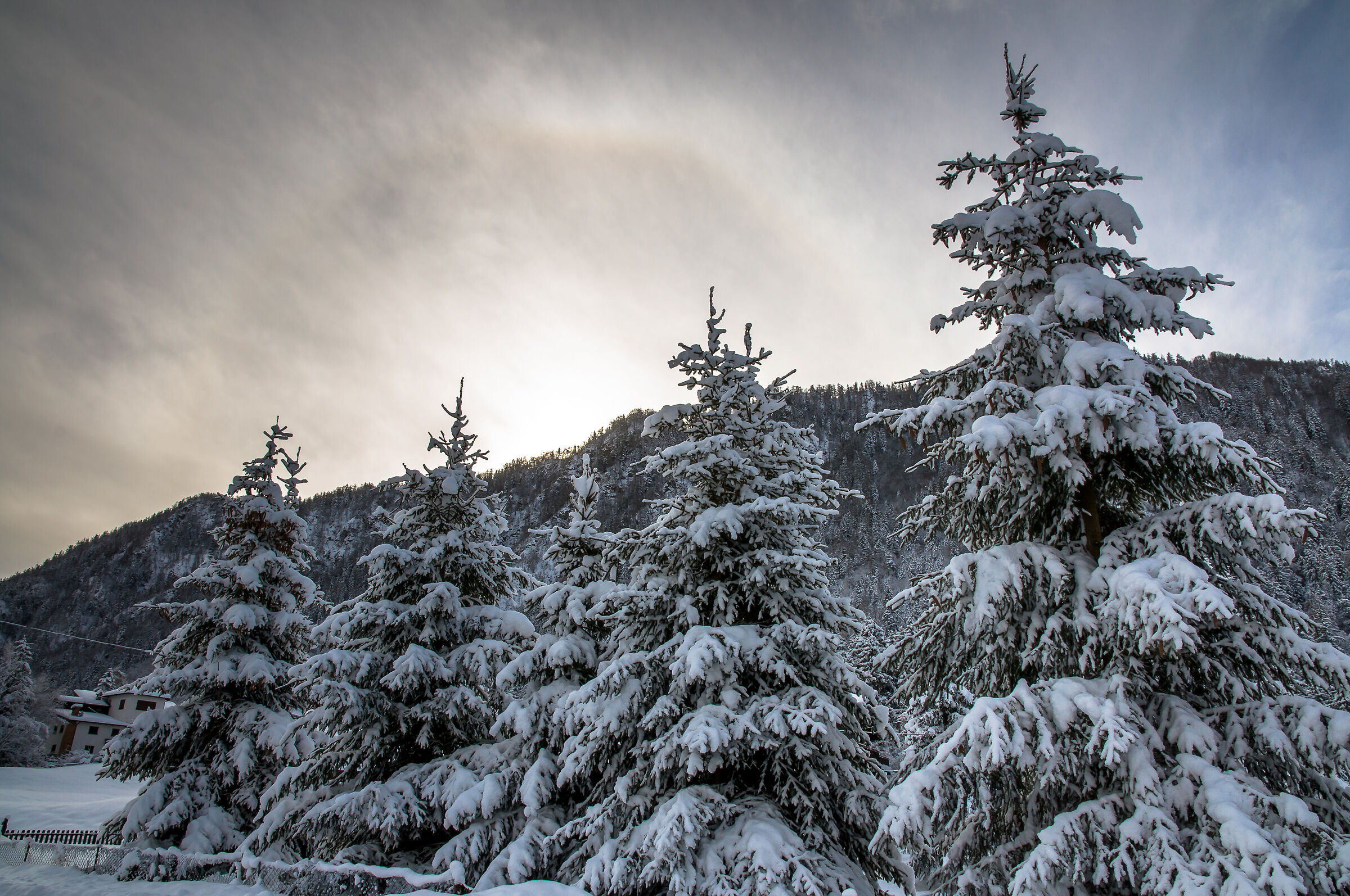 Borno, Croce di Salven. Inverno.