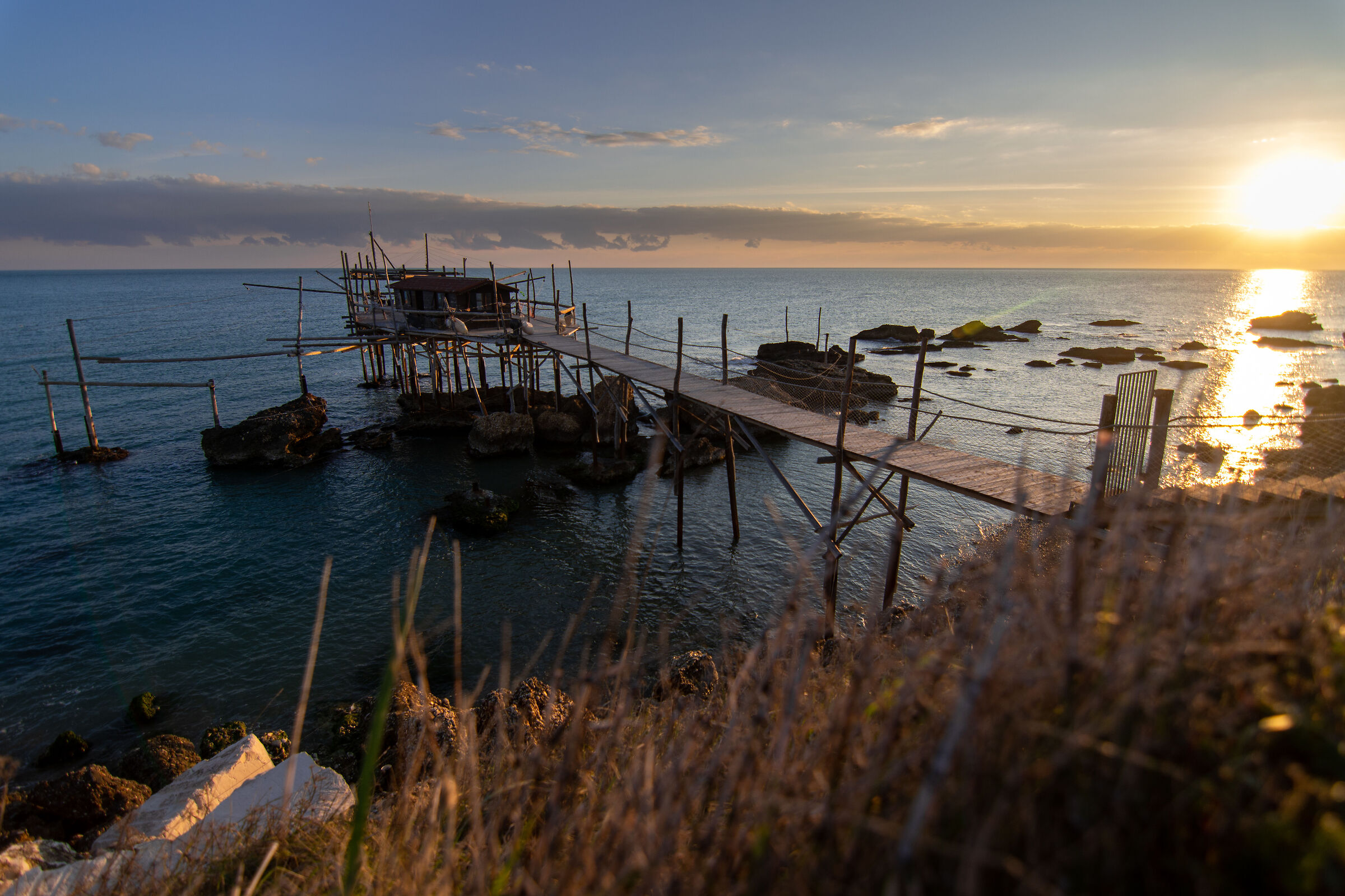 A step away from a sea of colors