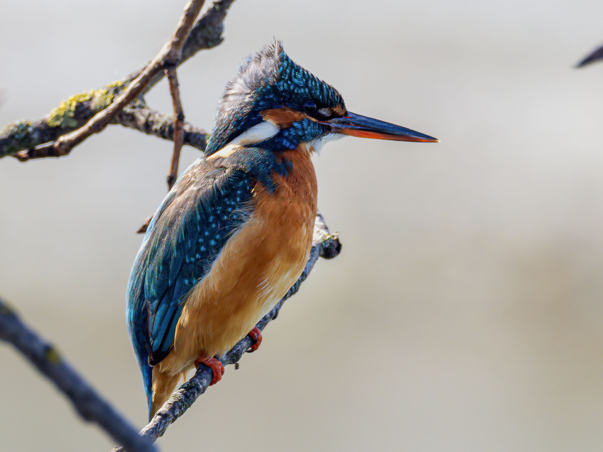 Martina in controluce