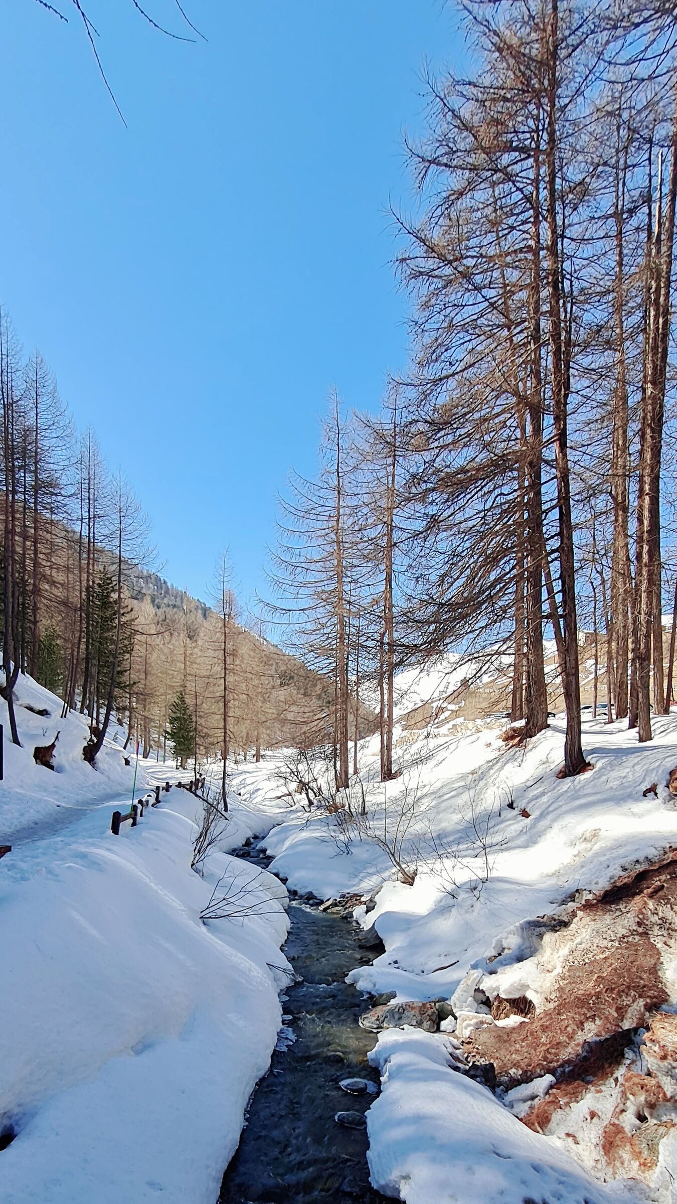 Ultima neve..a Livigno