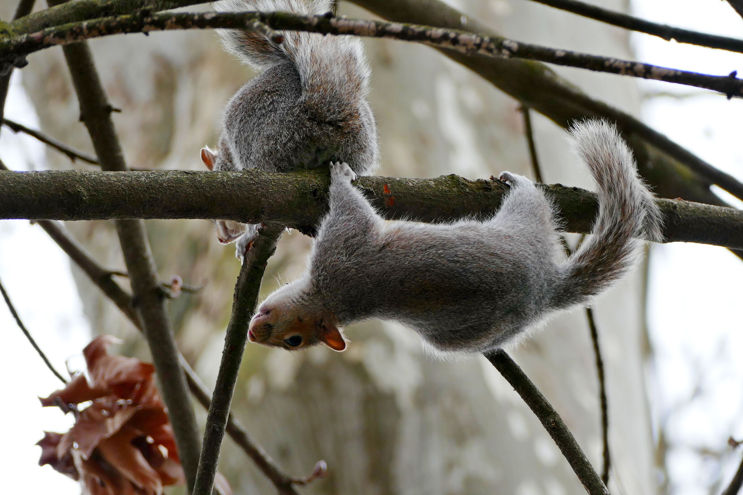 La Primavera è arrivata......