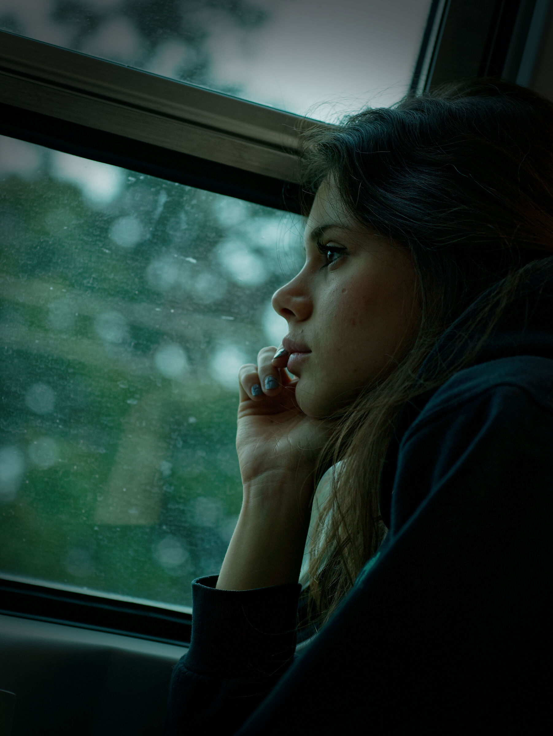 Wondering, on the train