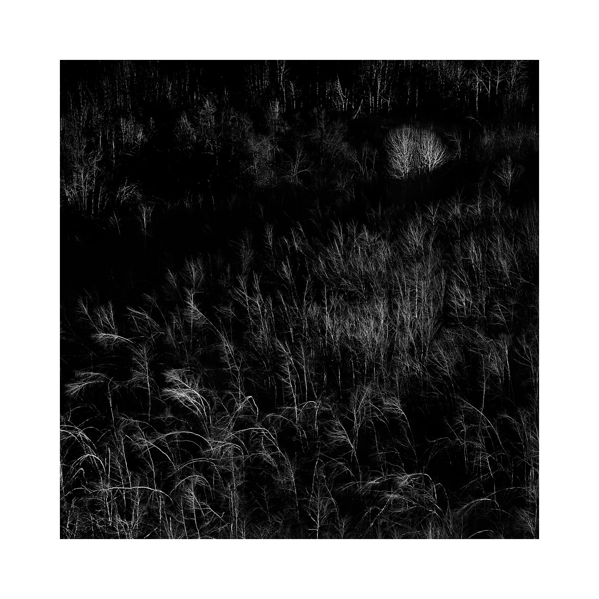 cuori nella tormenta