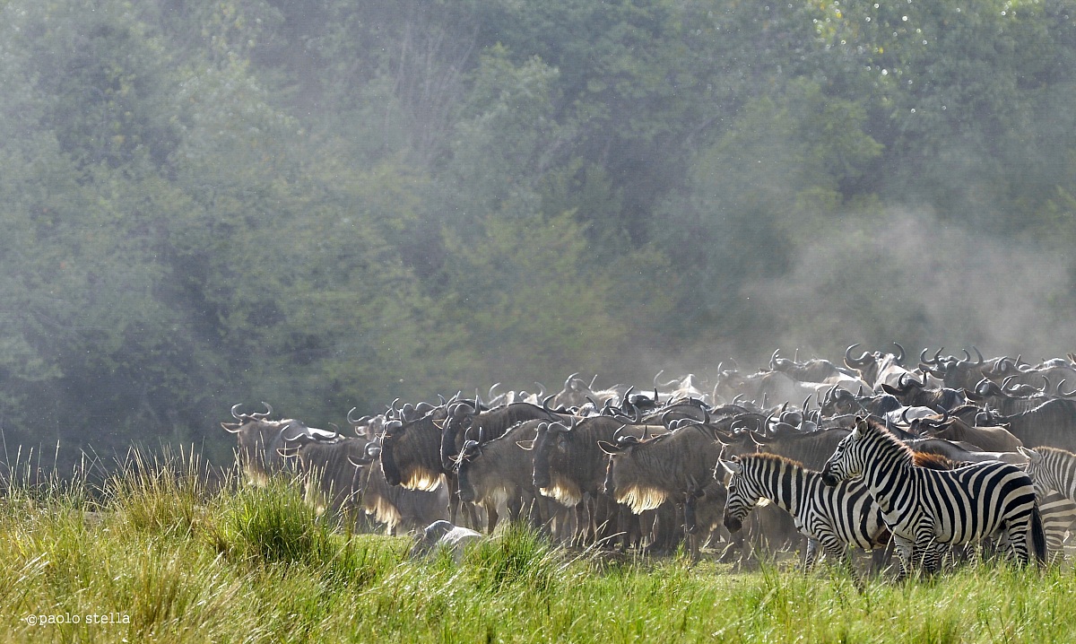 before the jump ....