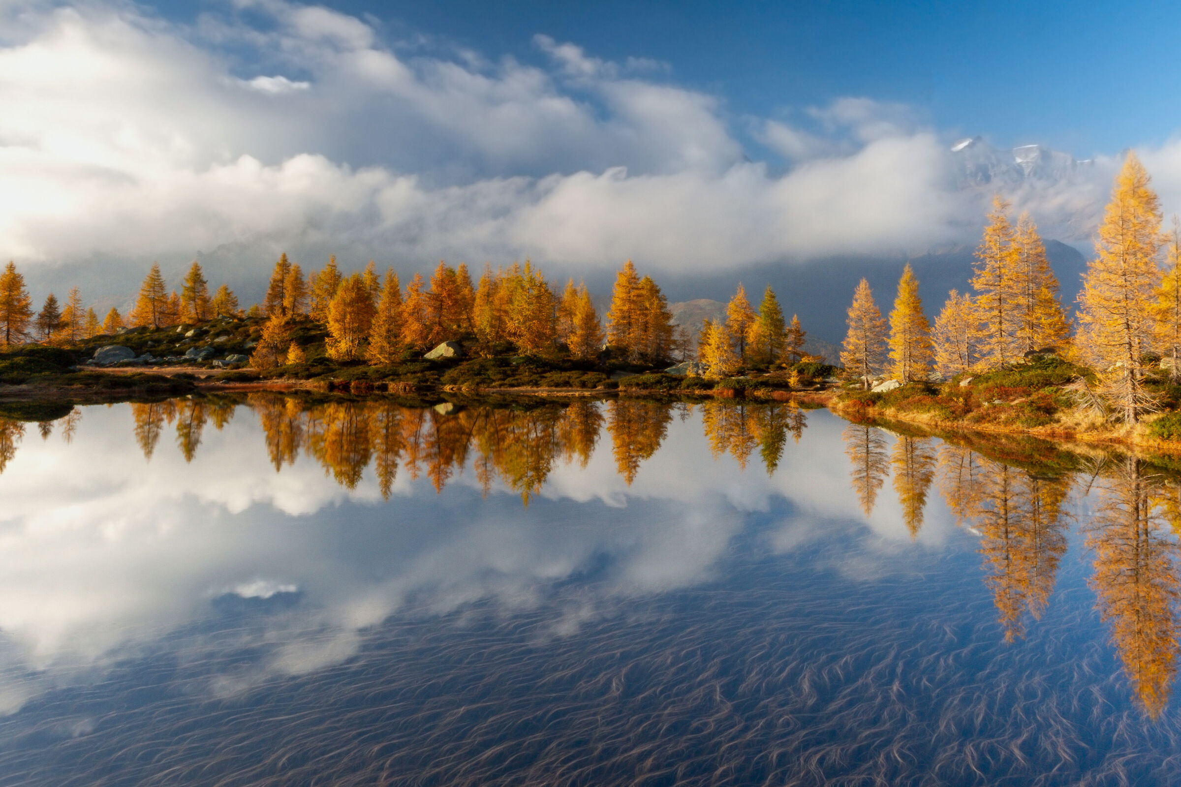 Life's What You Make It