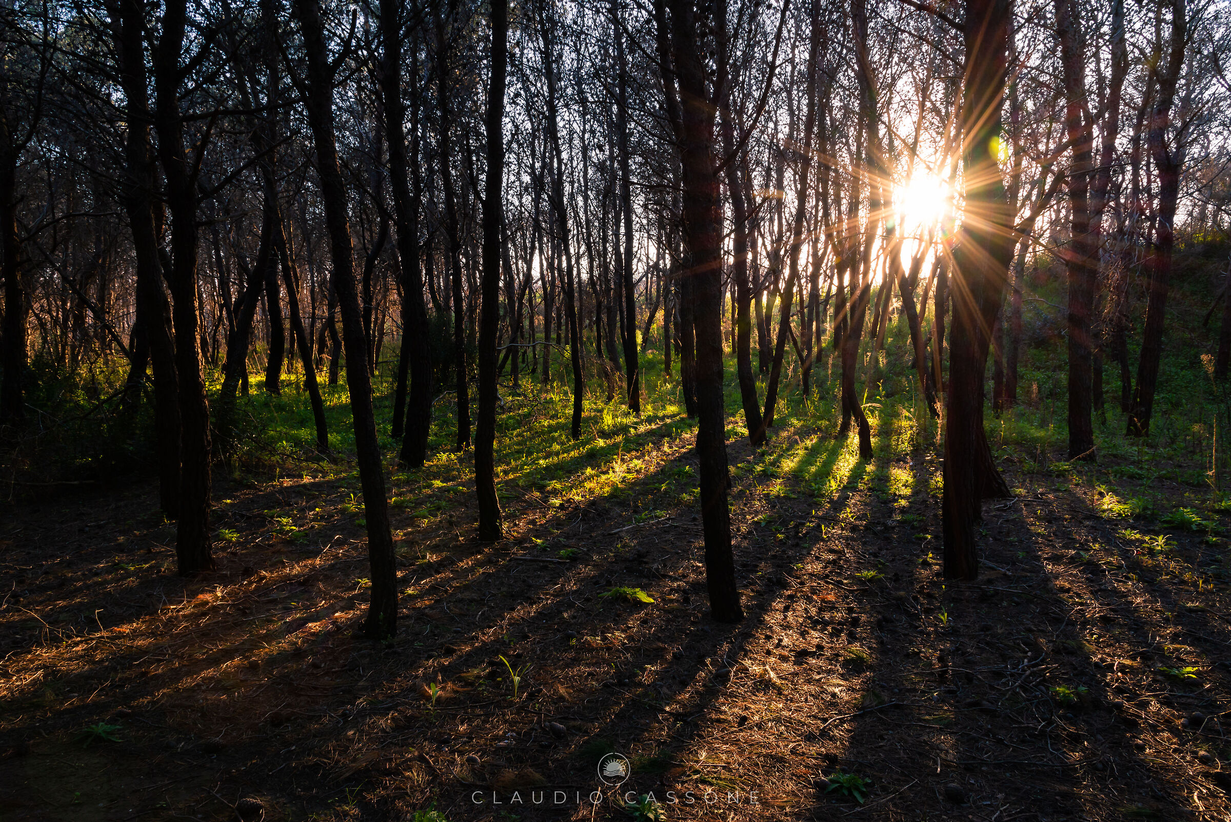 Light always overcomes darkness