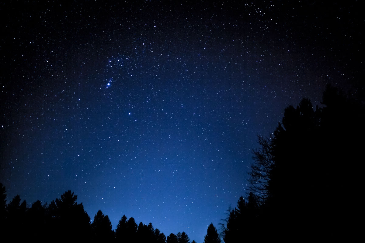 Da qualche parte in Lessinia