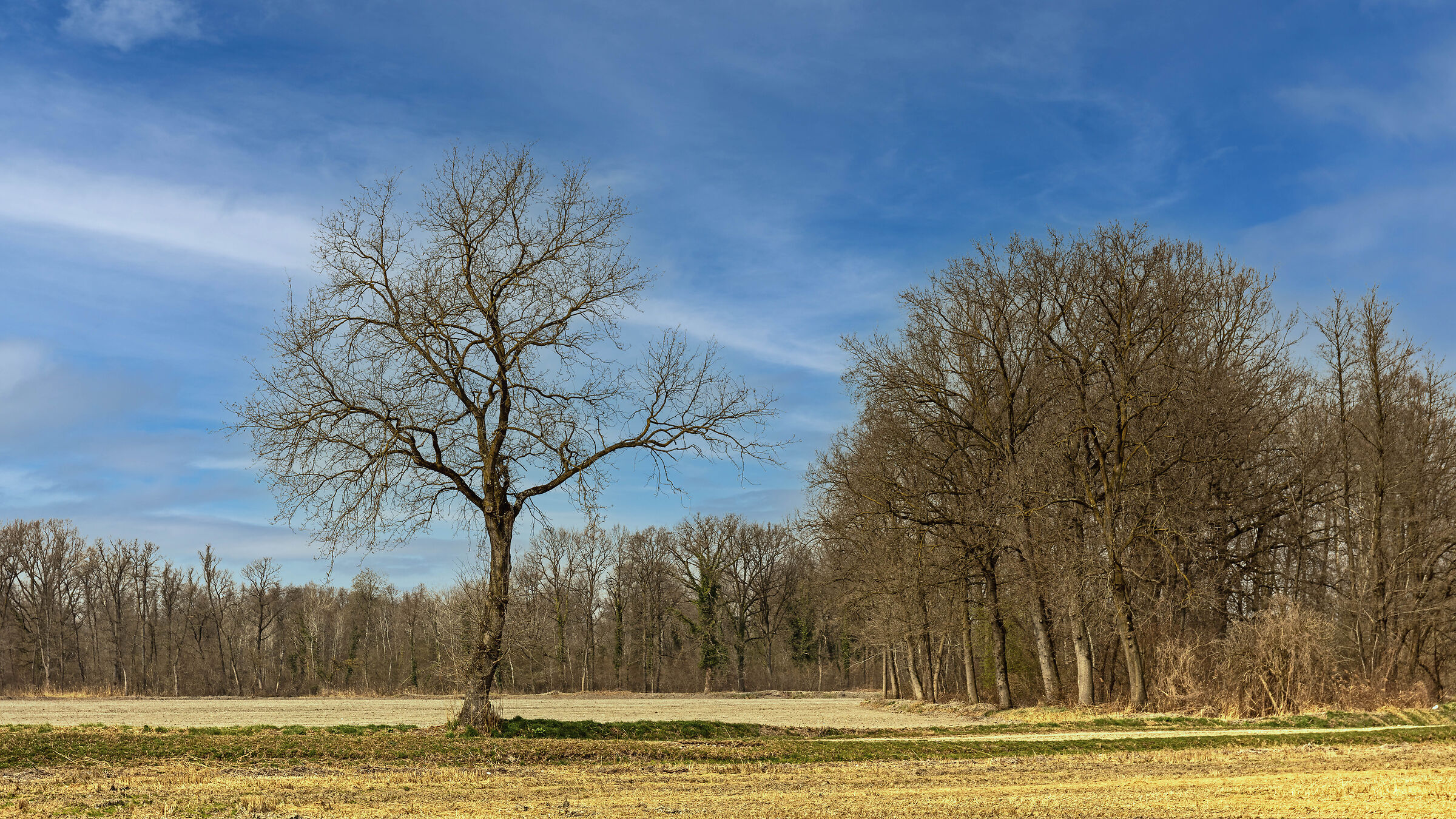Aspettando la primavera