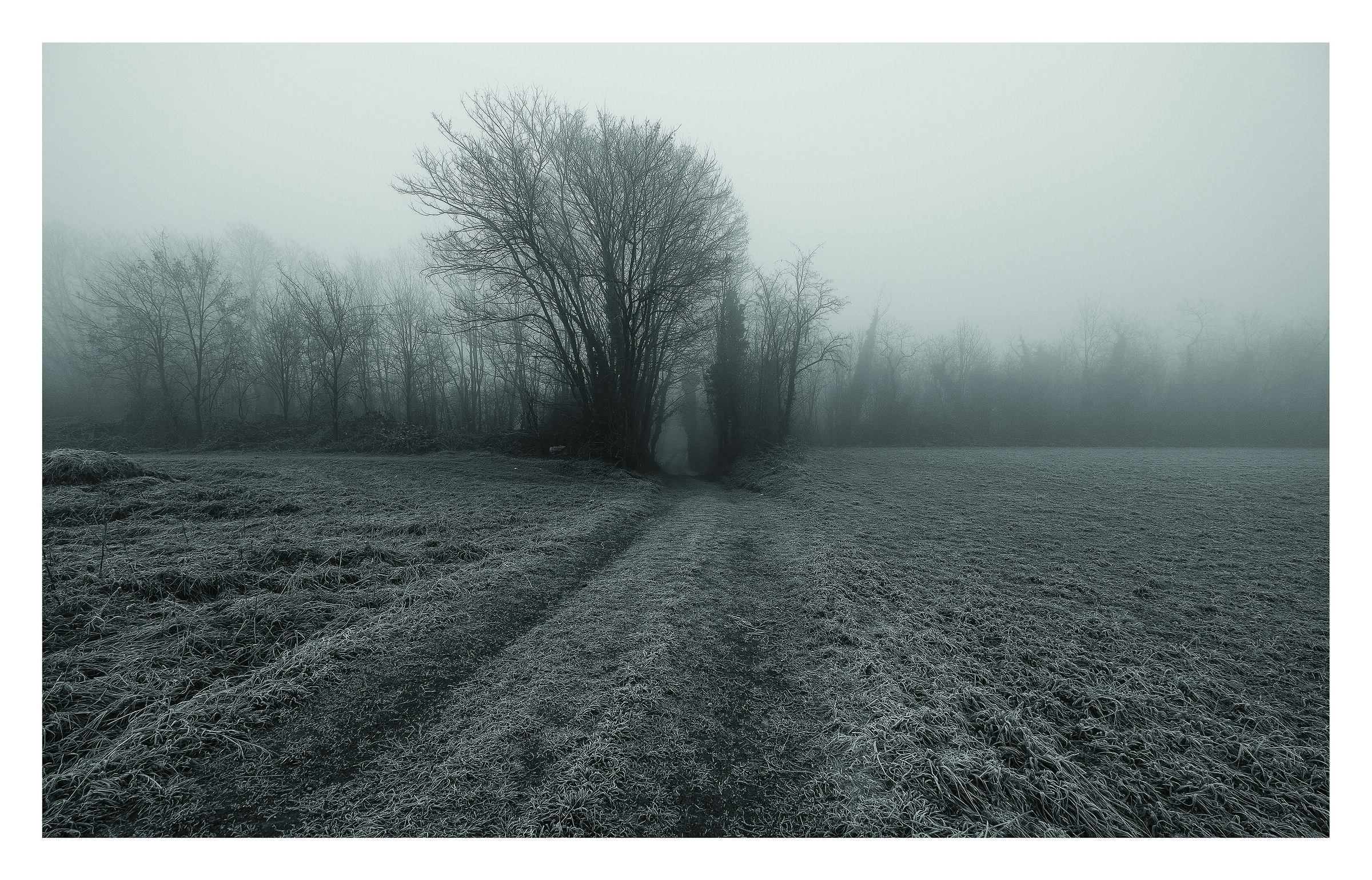 Vanished footprints
