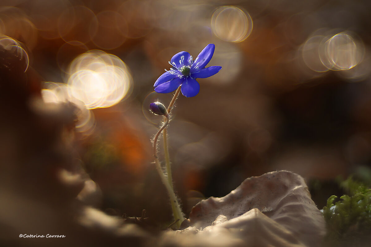 Waiting for the rain...