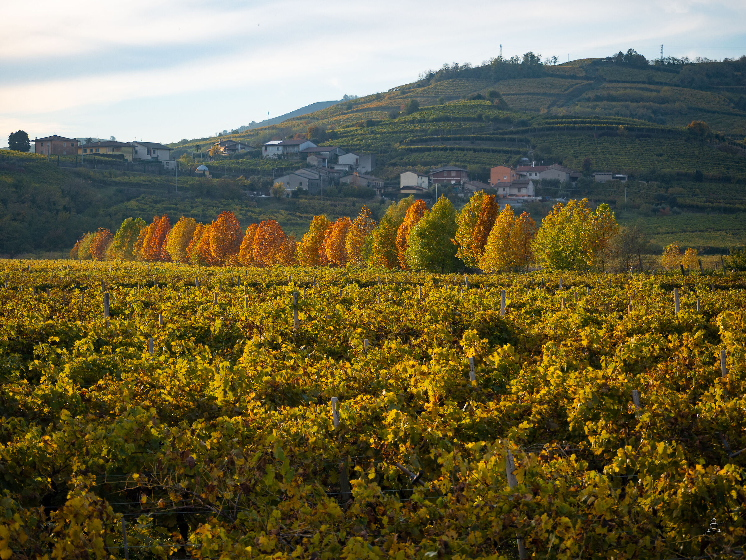 Sunset autunnale