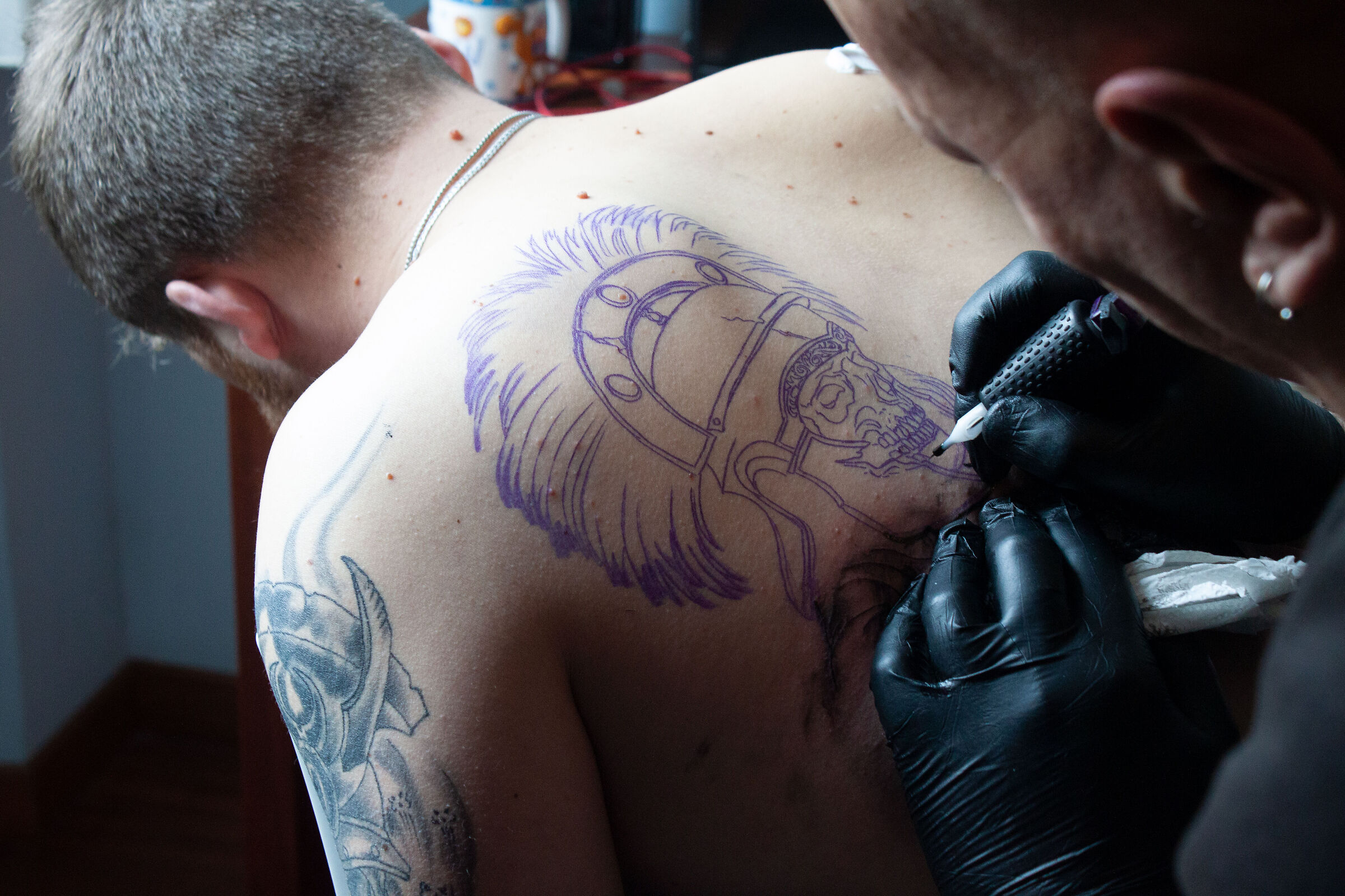 begins the beautiful slaughter