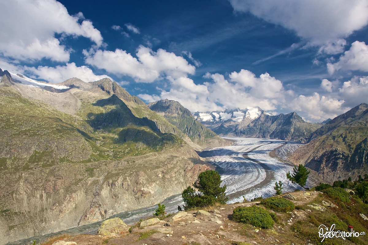 The language Aletsch