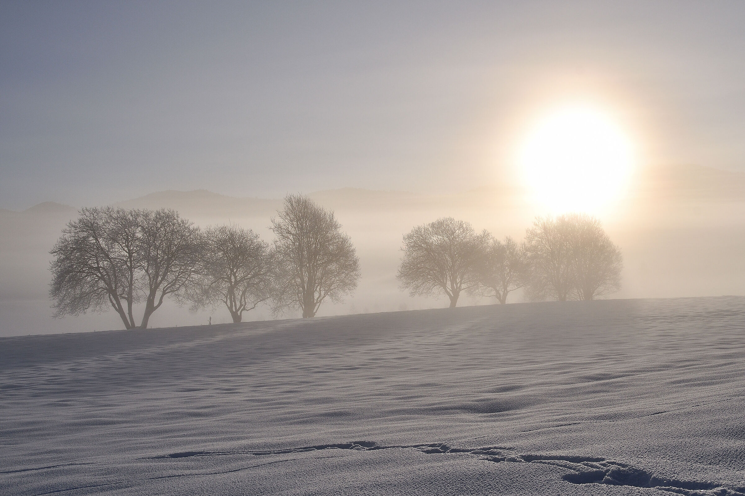 Winter sunrise