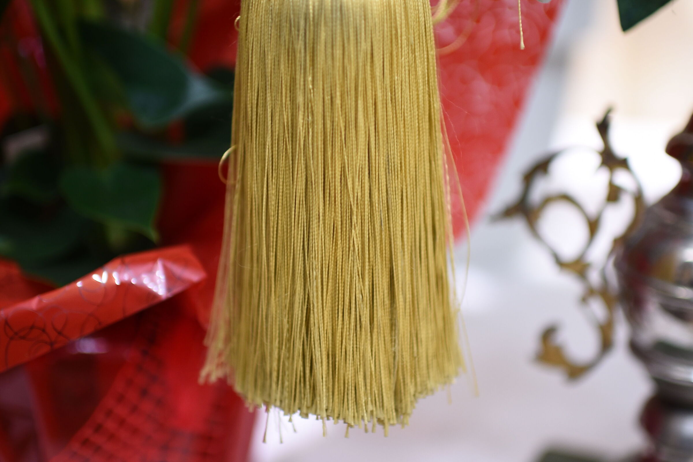 F. 1.4 / Tamron 35, 1.4 Di Usd- Nikon 750