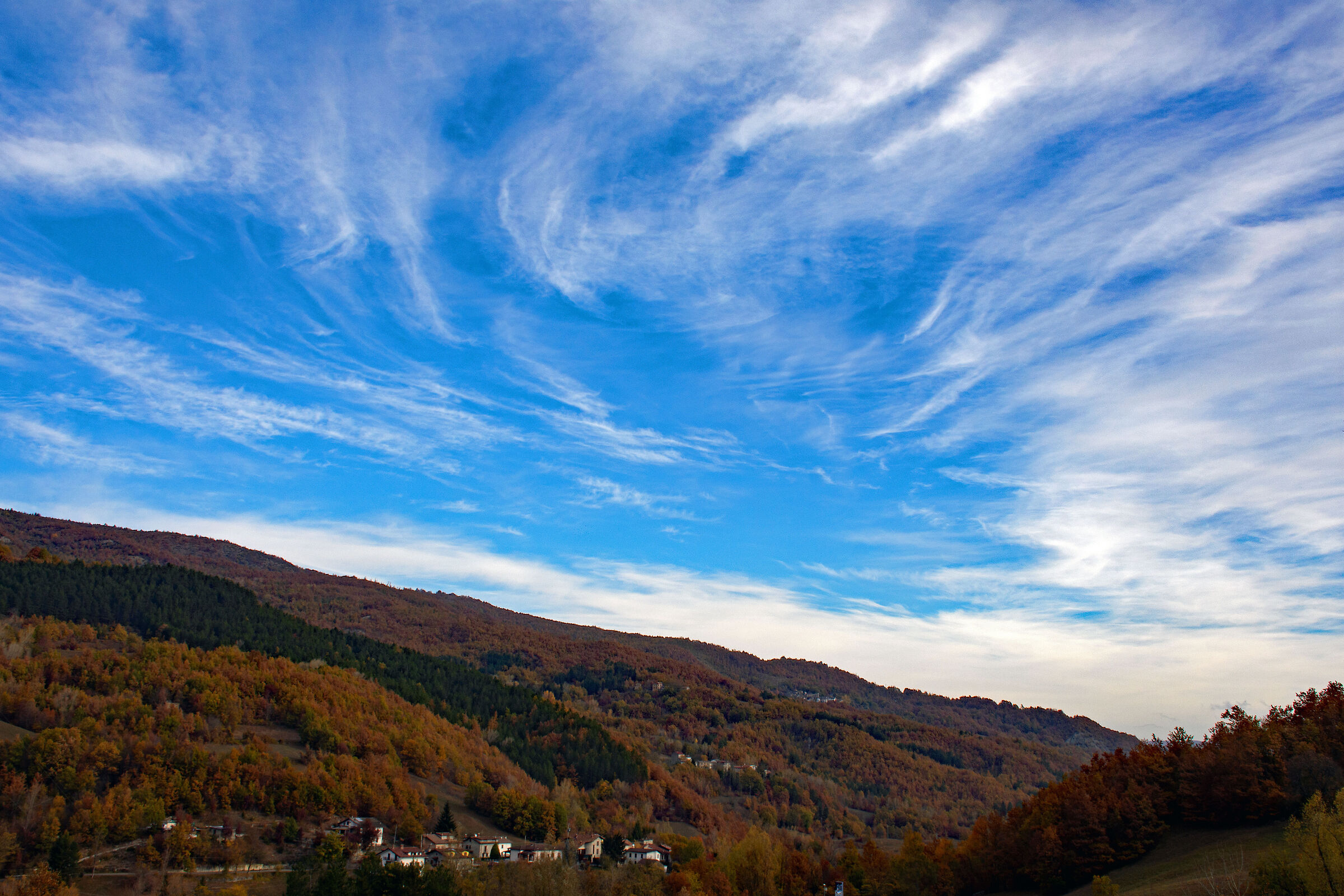 Brushstrokes of white