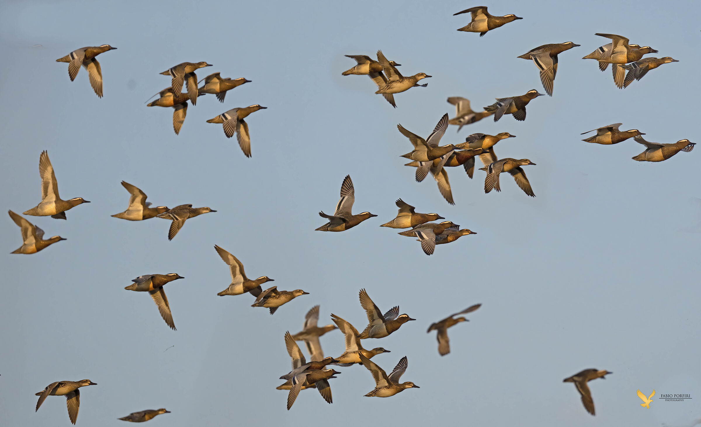 al tramonto....marzaiole