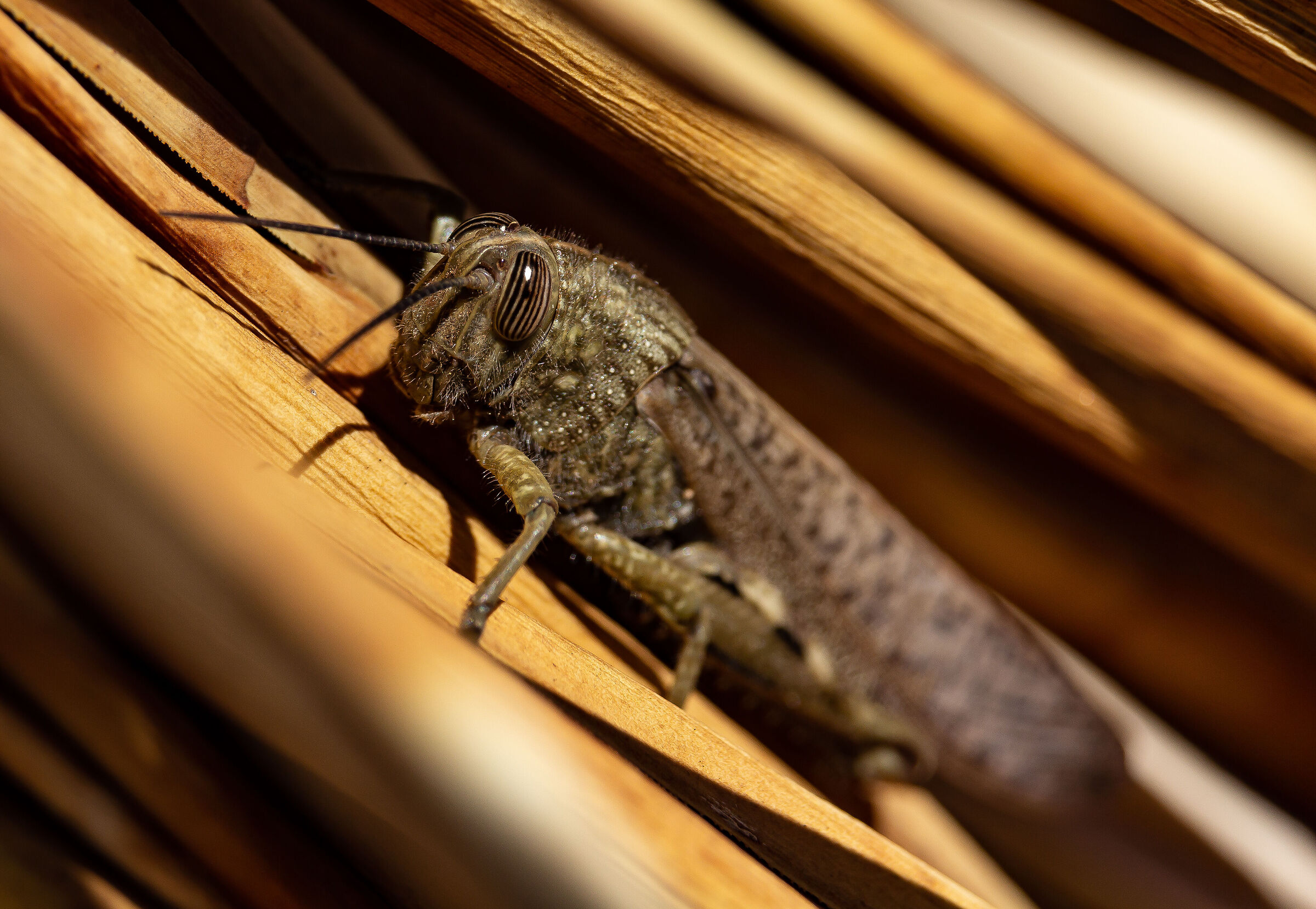 Questione di sguardi