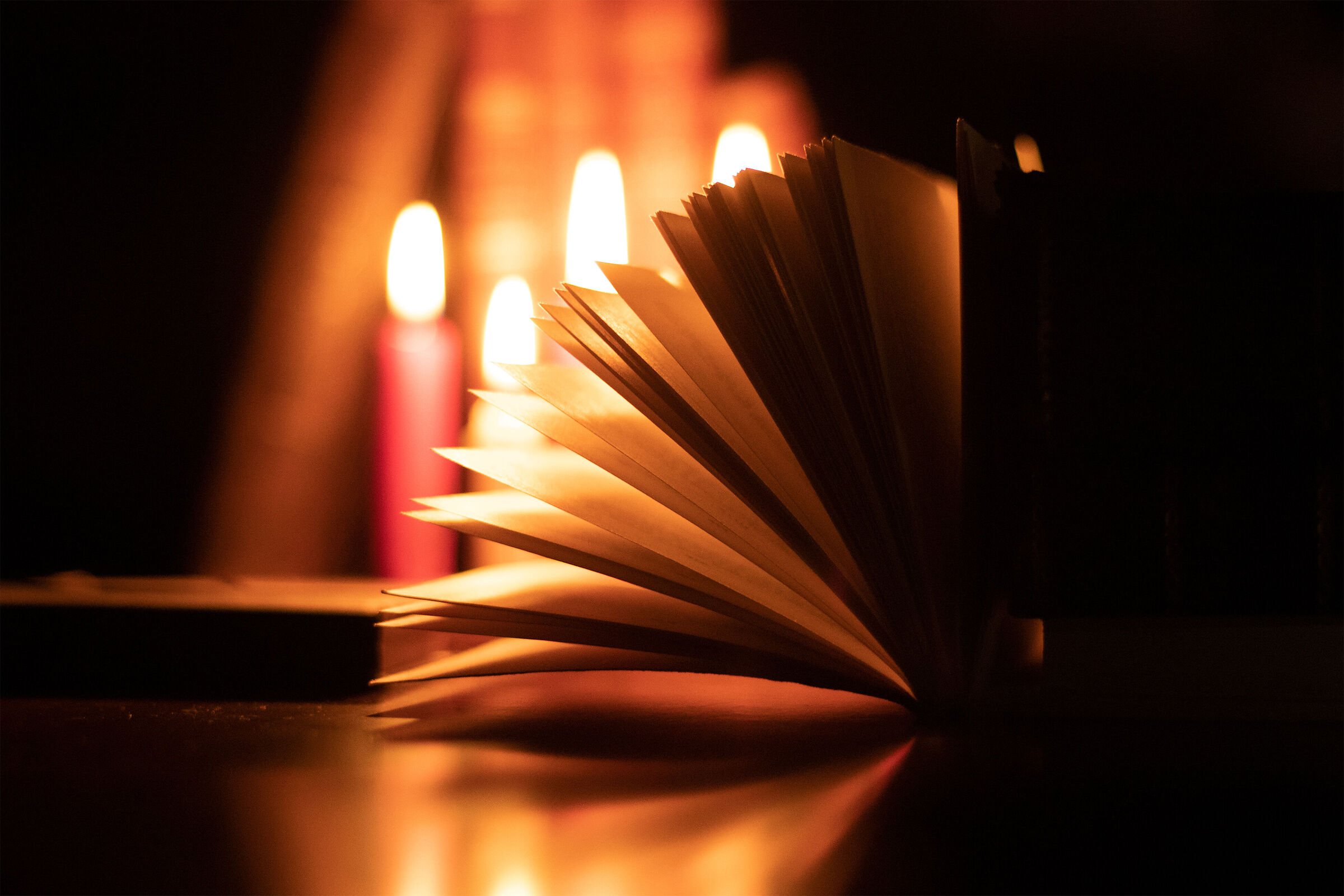 Still life books 1