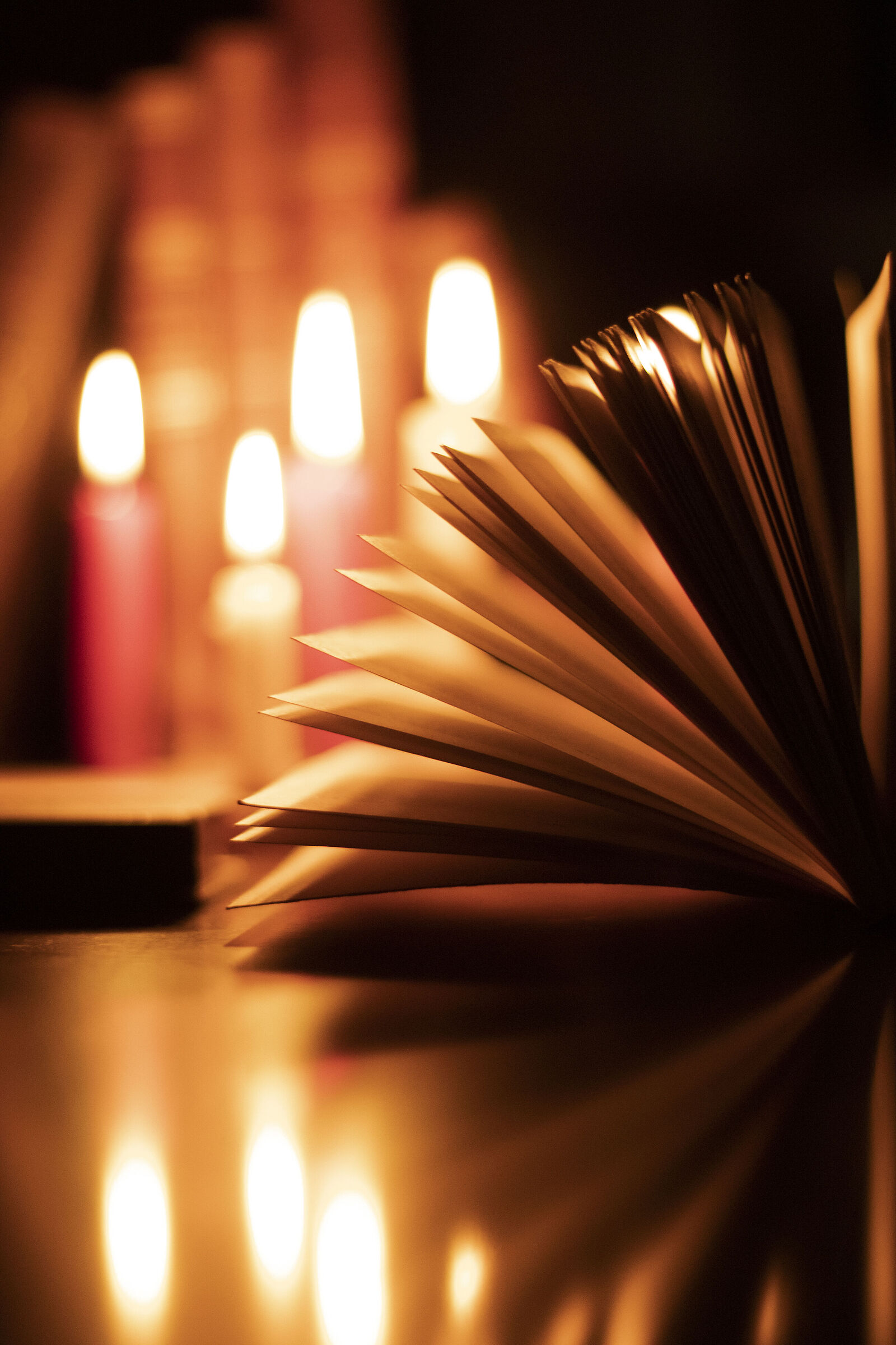Still life books 2