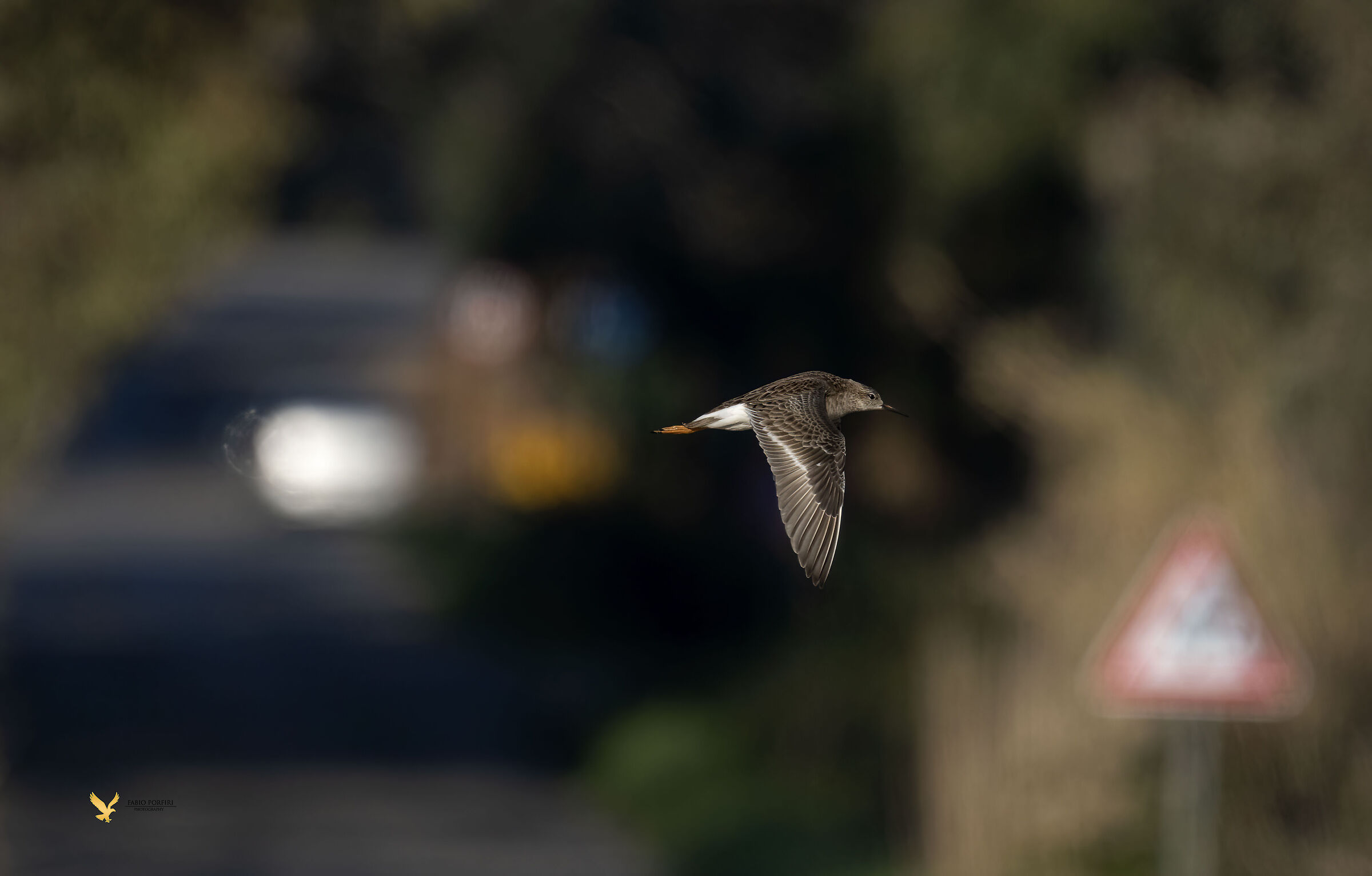 Incroci pericolosi - combattente