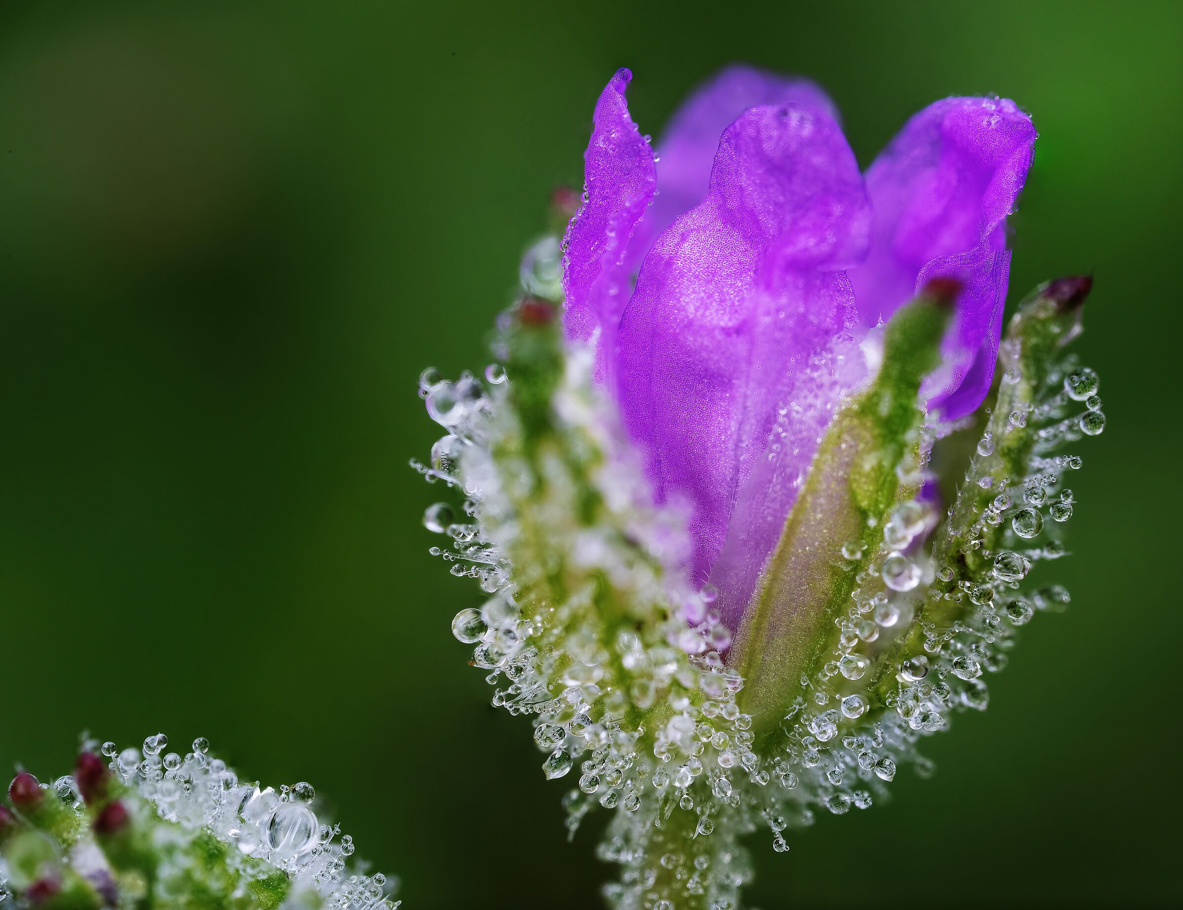 Fragile