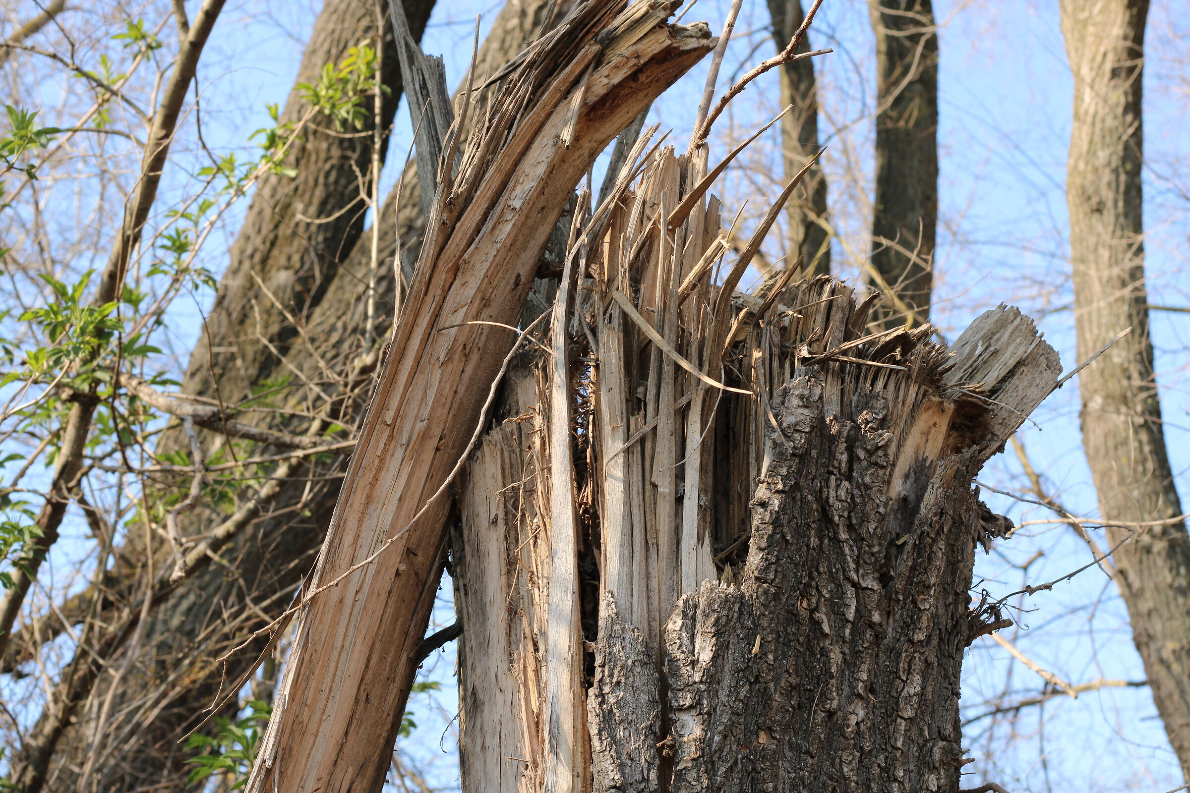 The fury of the wind does not forgive