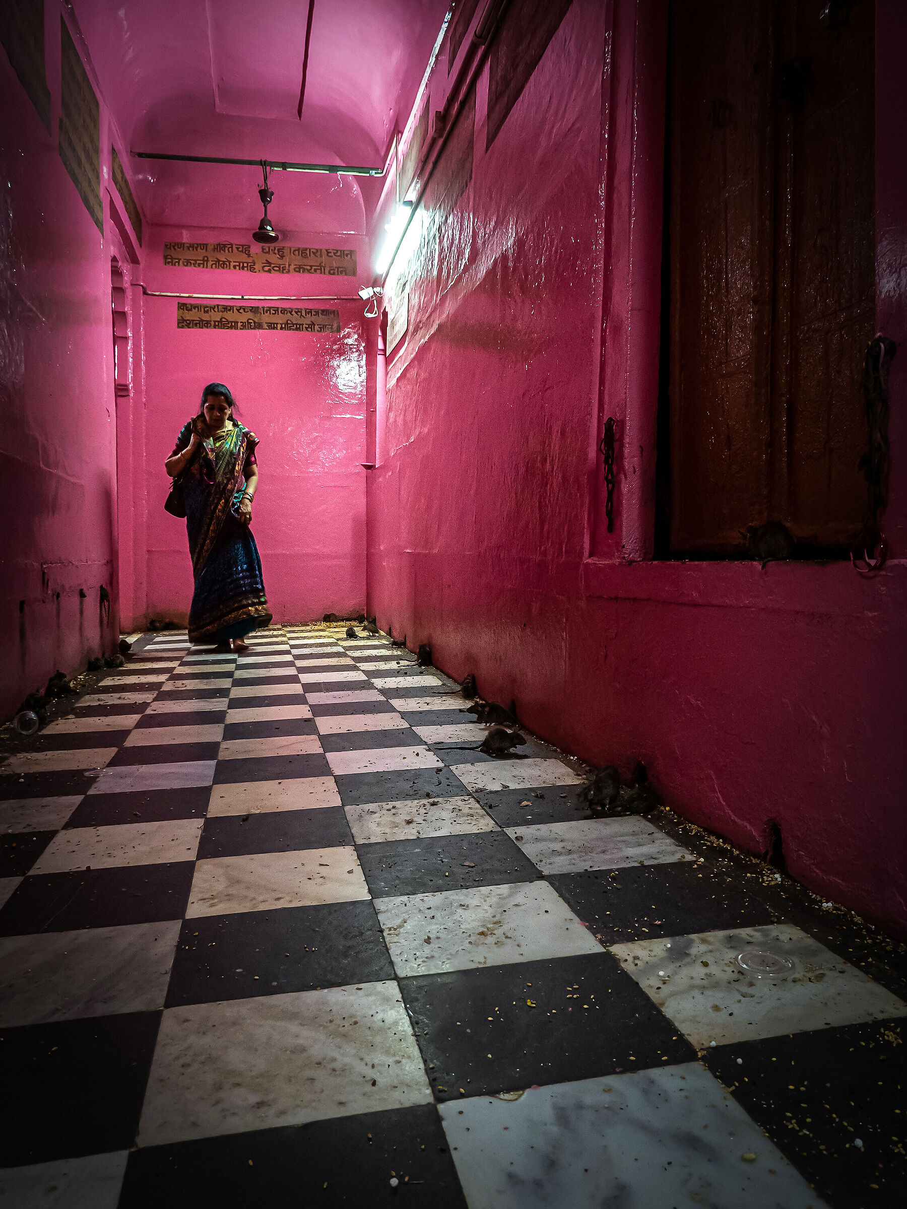The Temple of Mice (Karni Mata Temple) - India 2018