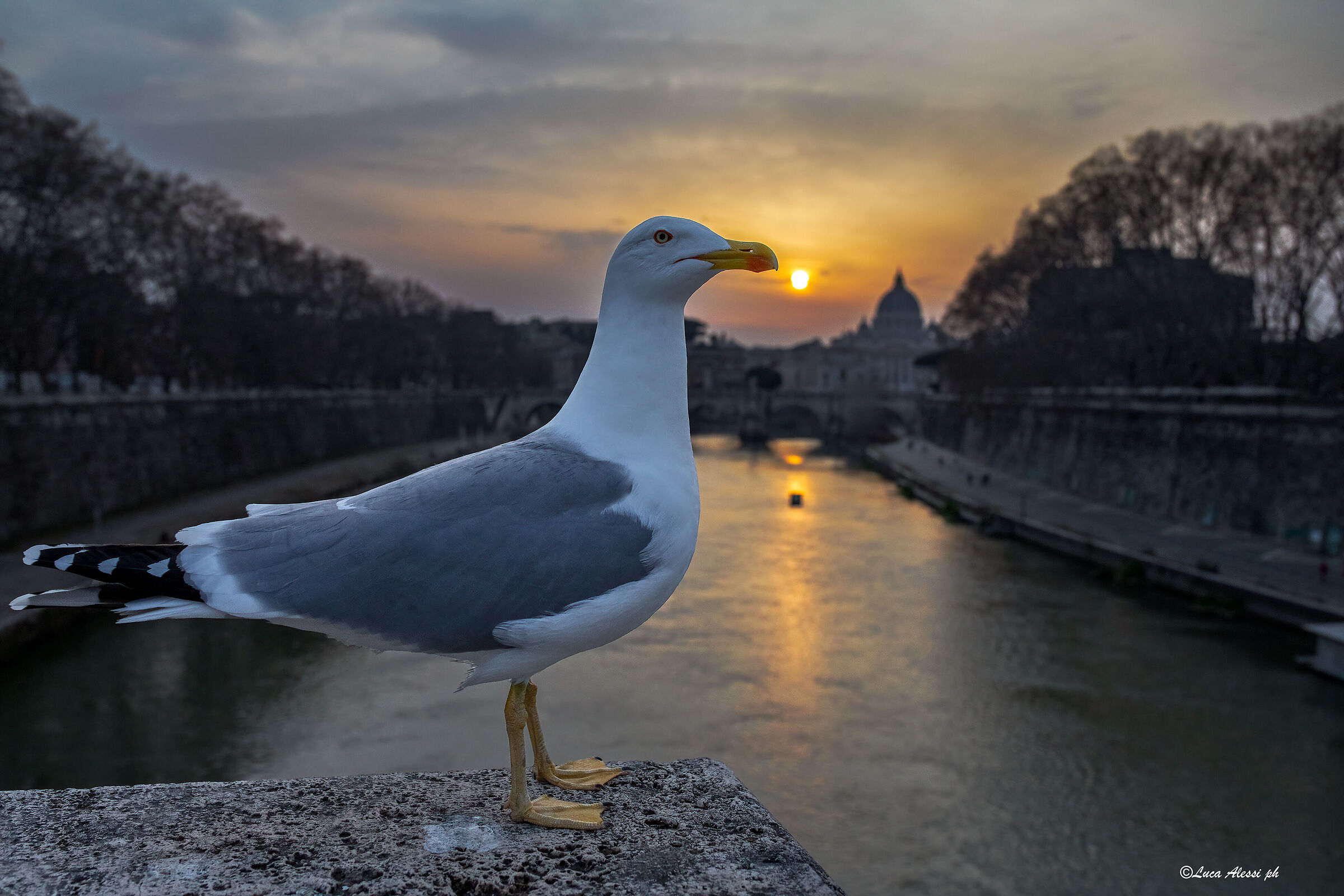 An unusual portrait set