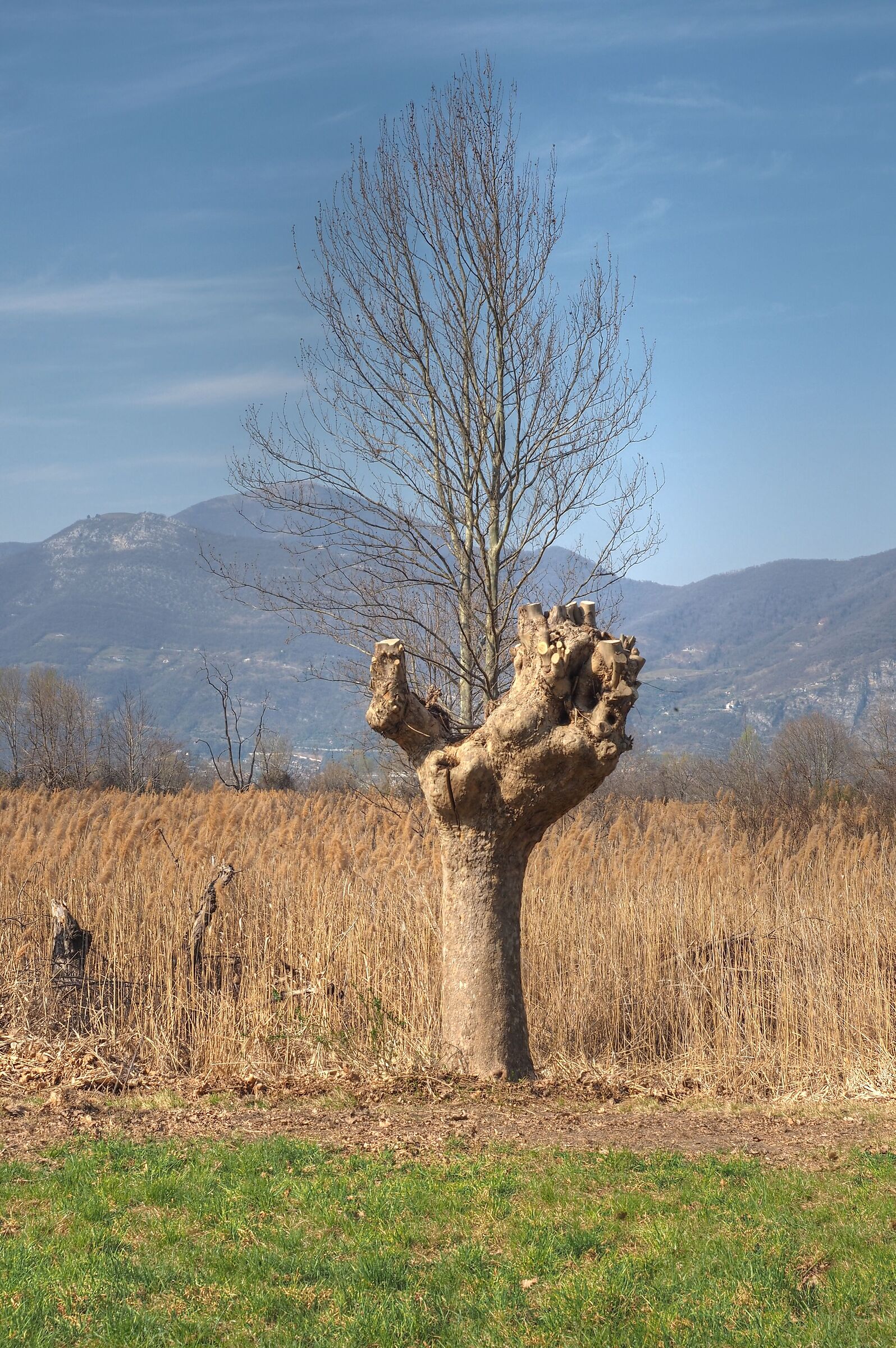 Quando la natura ci dà una mano