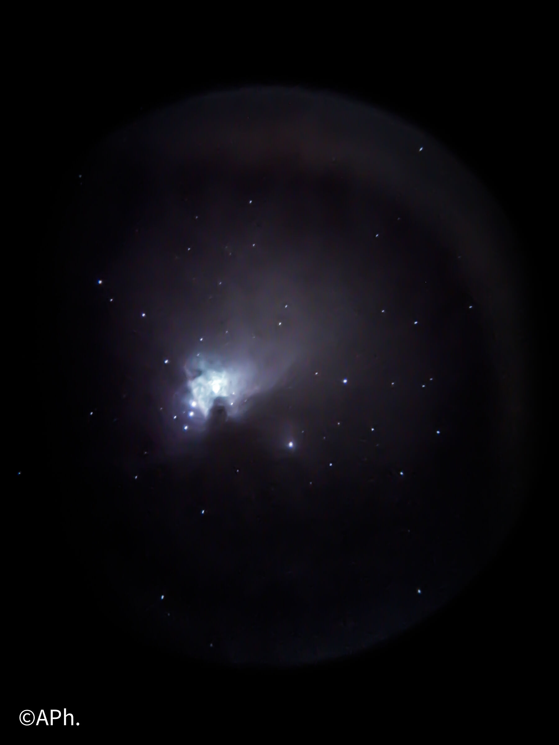 Orion Nebula