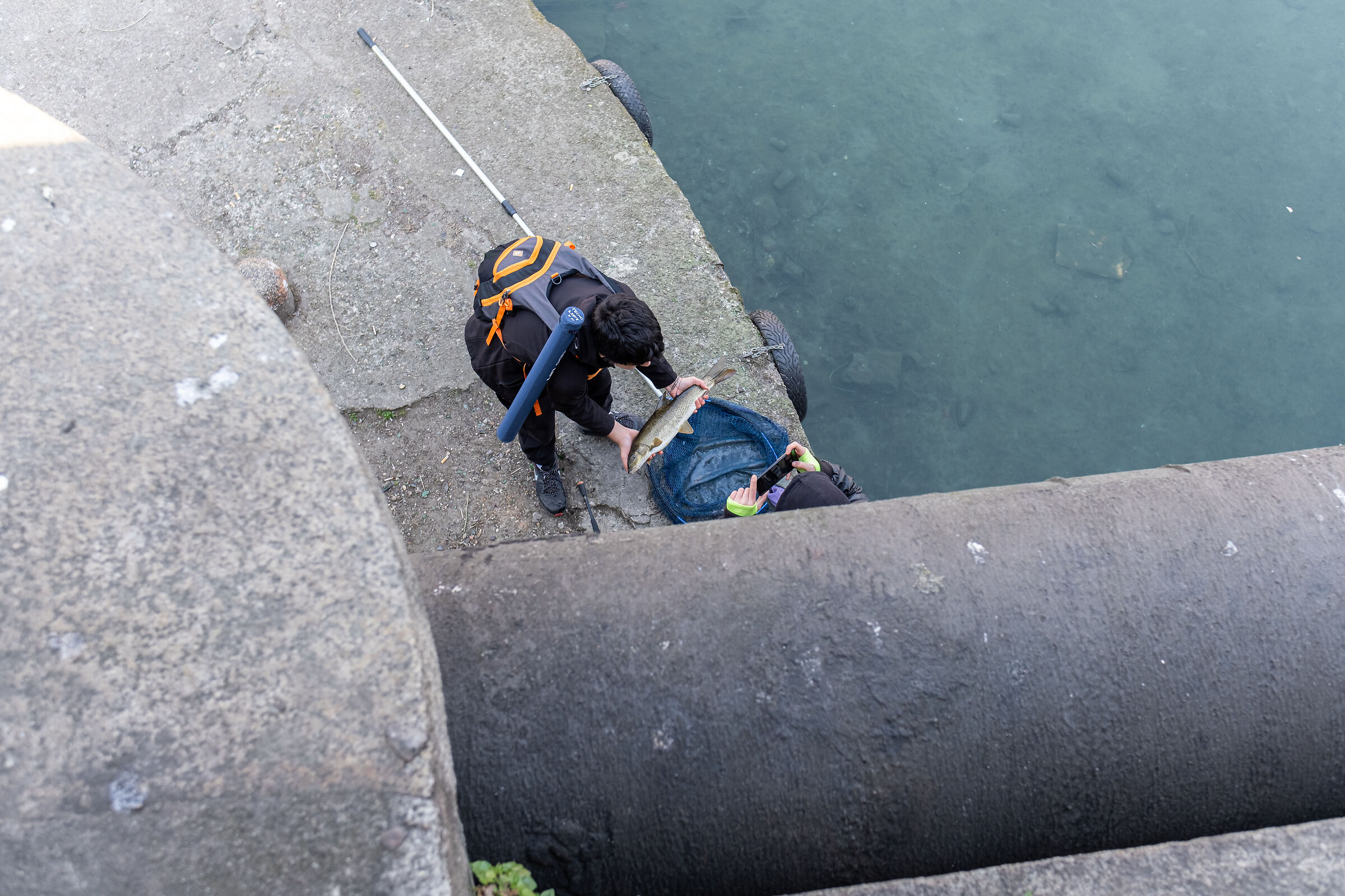 Freshly caught - Darsena Milano